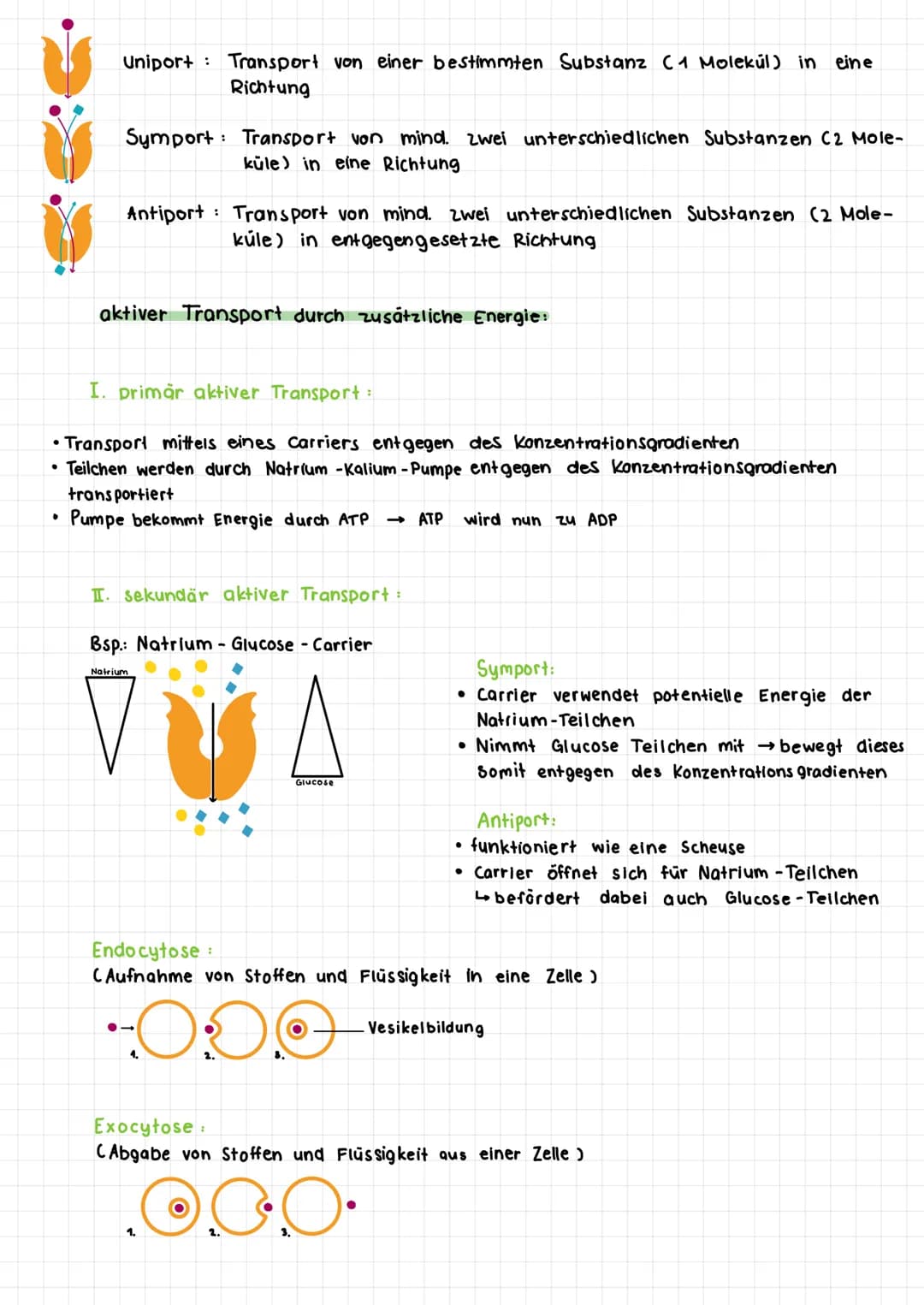 ●
DIFFUSION:
·
• wichtiger Verteilungsprozess innerhalb der Zelle und Gewebeflüssigkeit
Verteilung : höhere Konzentration - niedrigere Konze