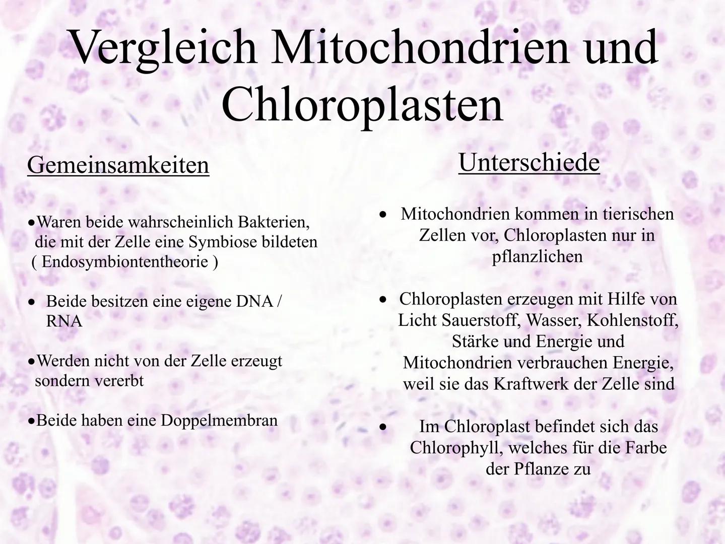 Mitochrondrien
das Kraftwerk der Zelle Inhaltsverzeichnis
•Definition
Entstehung der Mitochondrien und des Enzyms ATP
Vermehrung
•Aufbau
•Vo