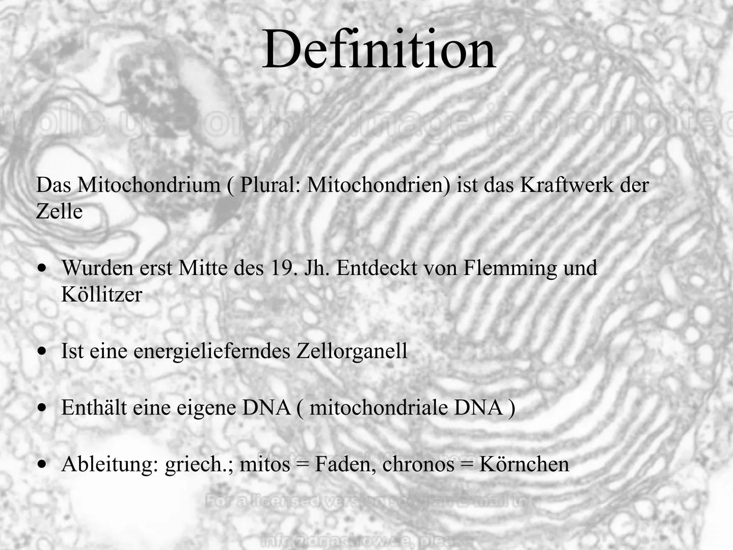 Mitochrondrien
das Kraftwerk der Zelle Inhaltsverzeichnis
•Definition
Entstehung der Mitochondrien und des Enzyms ATP
Vermehrung
•Aufbau
•Vo