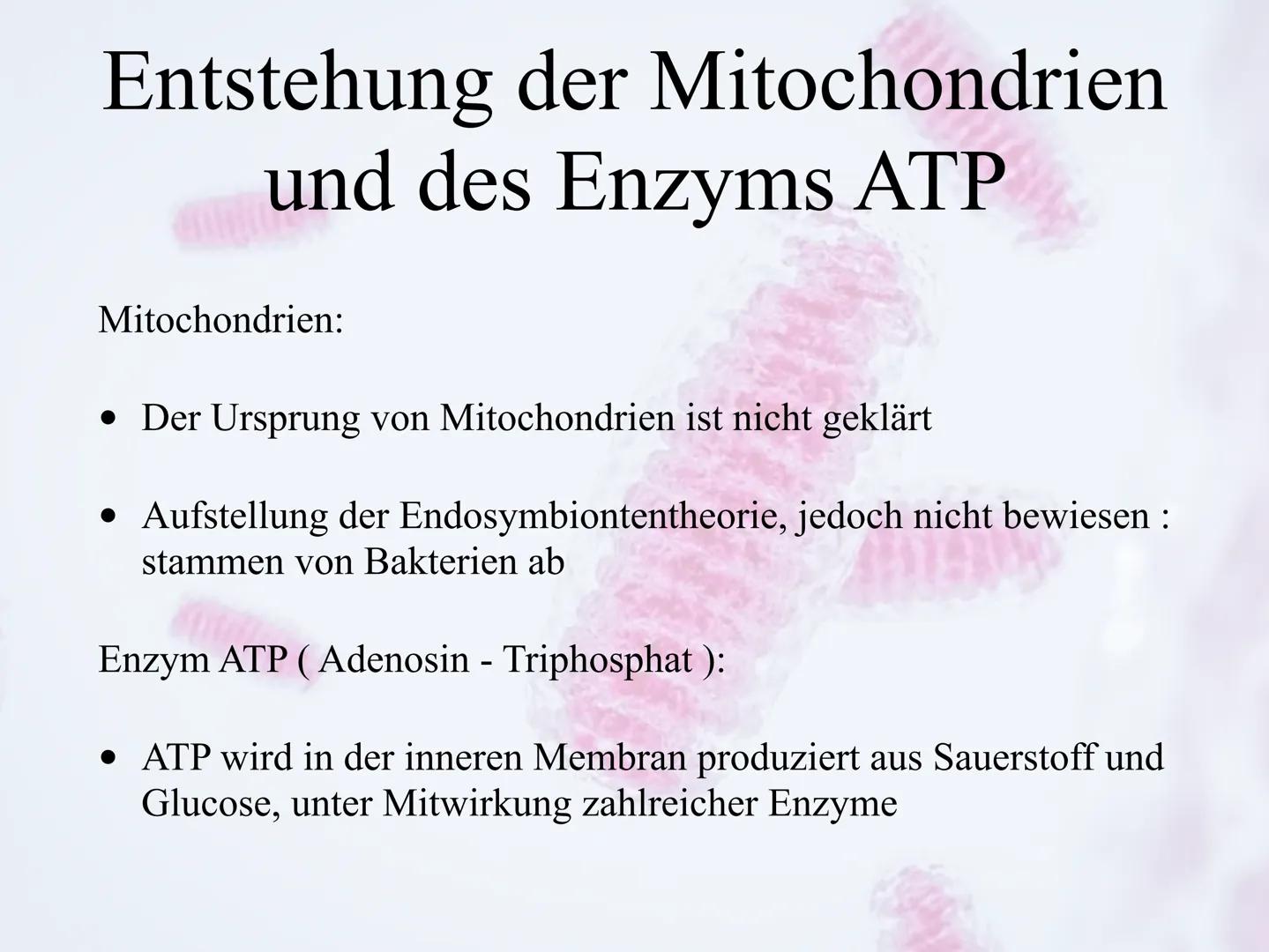 Mitochrondrien
das Kraftwerk der Zelle Inhaltsverzeichnis
•Definition
Entstehung der Mitochondrien und des Enzyms ATP
Vermehrung
•Aufbau
•Vo