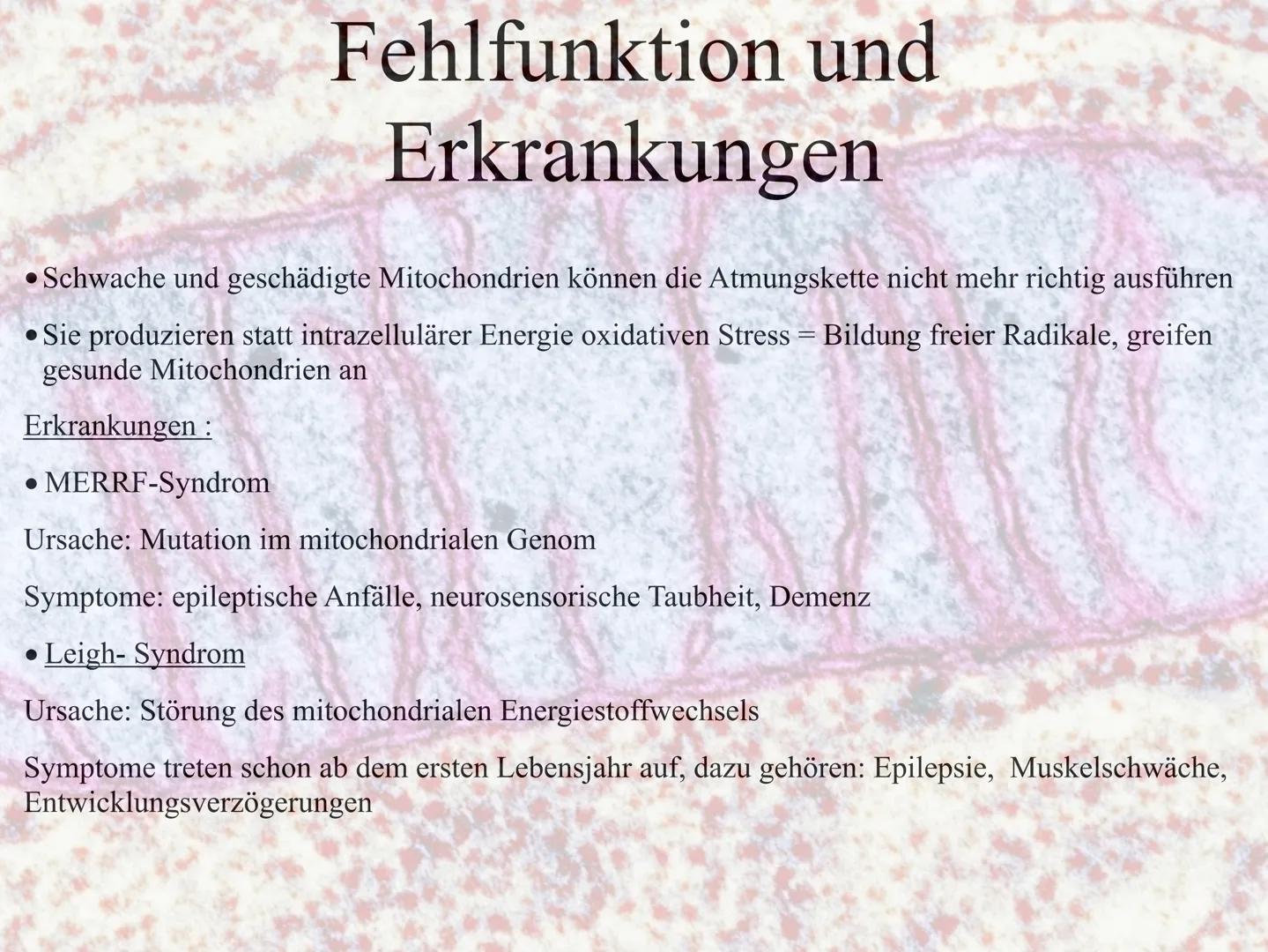 Mitochrondrien
das Kraftwerk der Zelle Inhaltsverzeichnis
•Definition
Entstehung der Mitochondrien und des Enzyms ATP
Vermehrung
•Aufbau
•Vo