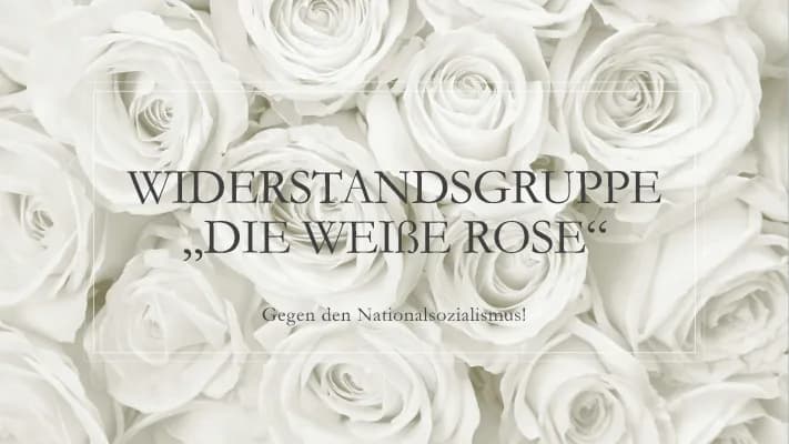 Know Weiße Rose thumbnail