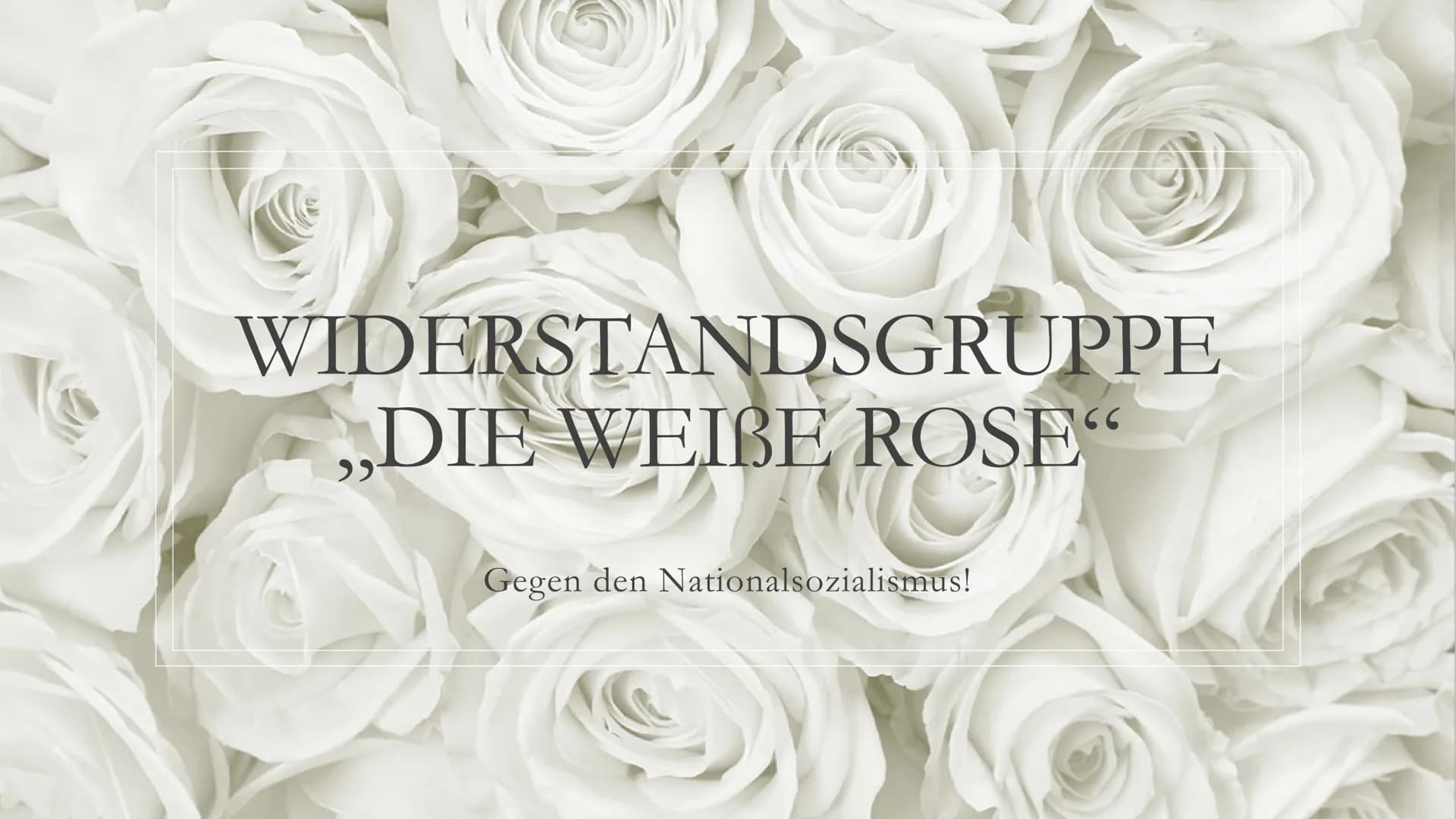 WIDERSTANDSGRUPPE
DIE WEIBE ROSE"
,,
Gegen den Nationalsozialismus! ●
●
●
Inhalt:
Hintergrund
Beginn des Widerstandes
Mitglieder
●
●
Kurt Hu