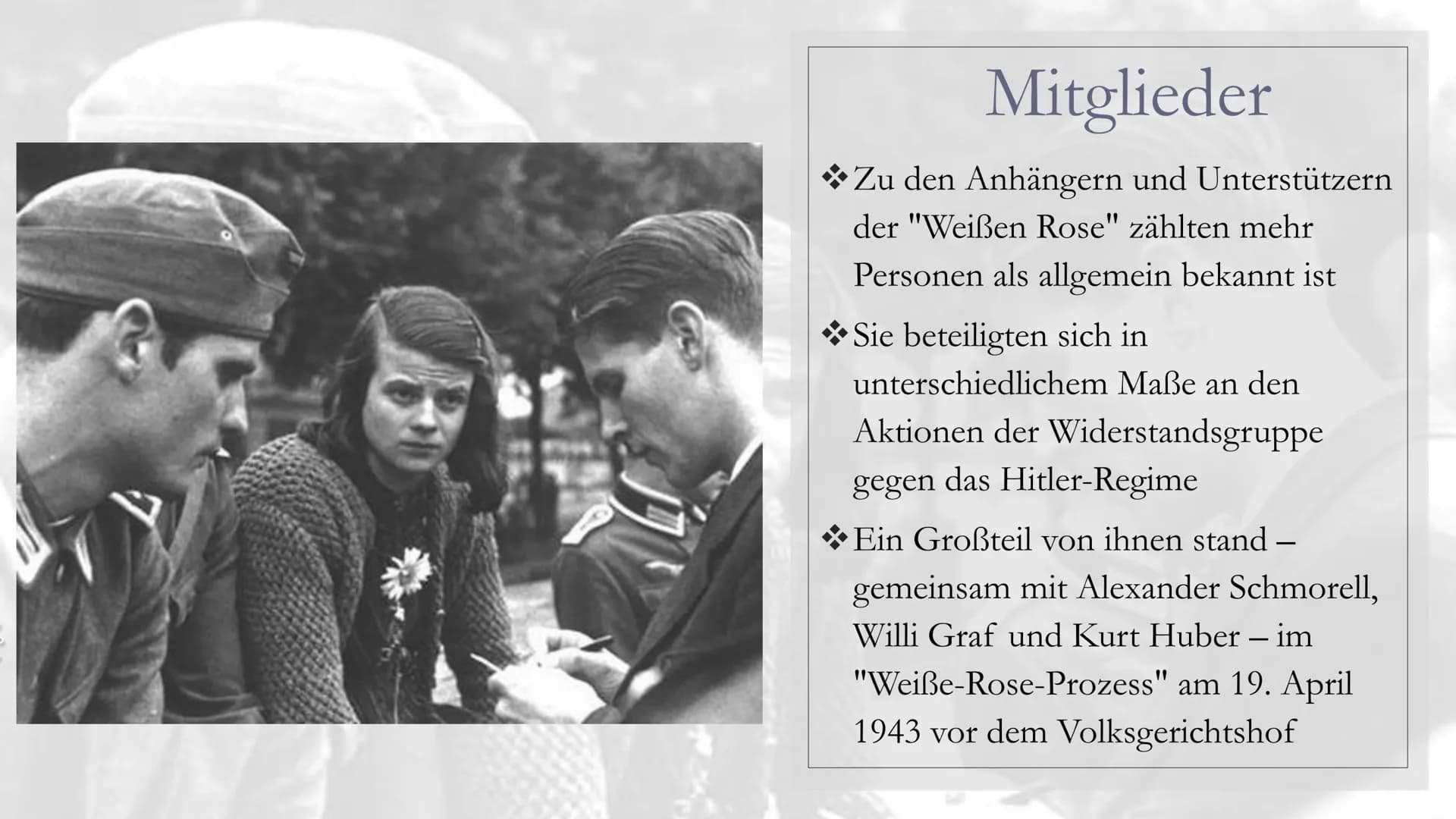 WIDERSTANDSGRUPPE
DIE WEIBE ROSE"
,,
Gegen den Nationalsozialismus! ●
●
●
Inhalt:
Hintergrund
Beginn des Widerstandes
Mitglieder
●
●
Kurt Hu