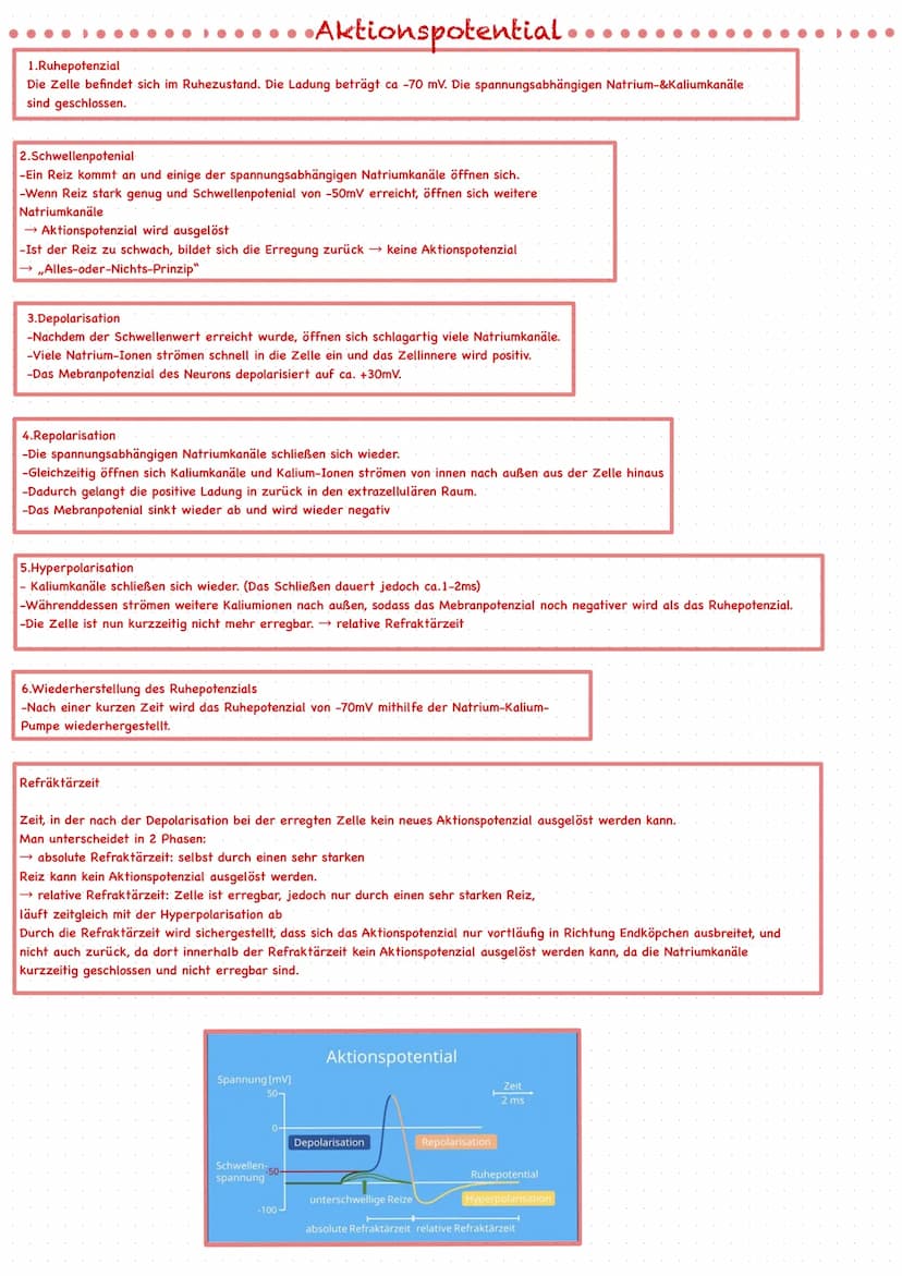 Was ist das Nervensystem?
*Ist die Gesamtheit der Nervengewebe des Menschen und ist das
Kommunikationssystem des Organismus
*Es nimmt pausen