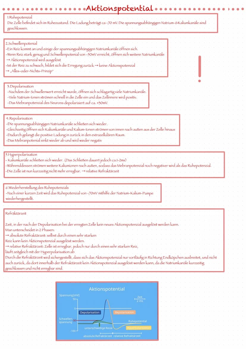 Was ist das Nervensystem?
*Ist die Gesamtheit der Nervengewebe des Menschen und ist das
Kommunikationssystem des Organismus
*Es nimmt pausen