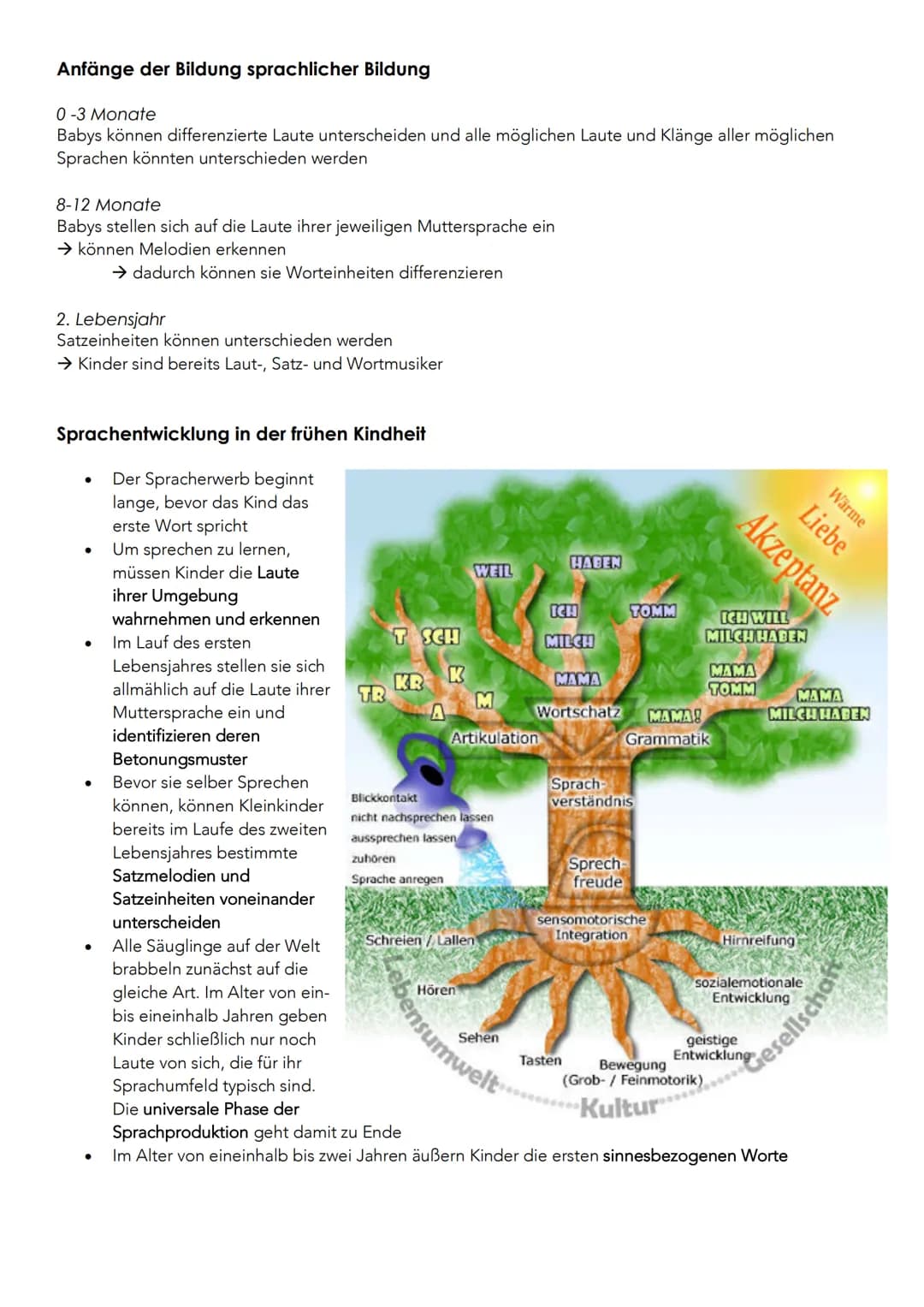 ●
●
GERD E. SCHÄFER: FRÜHKINDLICHE BILDUNG UND DIE
BEDEUTUNG DES SPIELS
●
Bildung im Verständnis Gerd E. Schäfers
●
●
O
O
Gerd E. Schäfer
*1