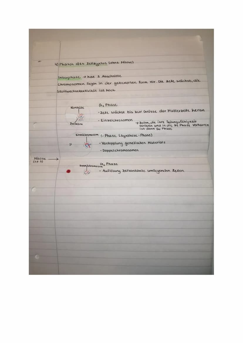 Prüfung Biologie: Klassische Genetik und Meiose
Klasse 2b, 6.11.20
14
Name.
Punkle:
Aufgabe 1 (2 Punkte)
Ein Gen auf dem Chromosom Nr. 9 ent