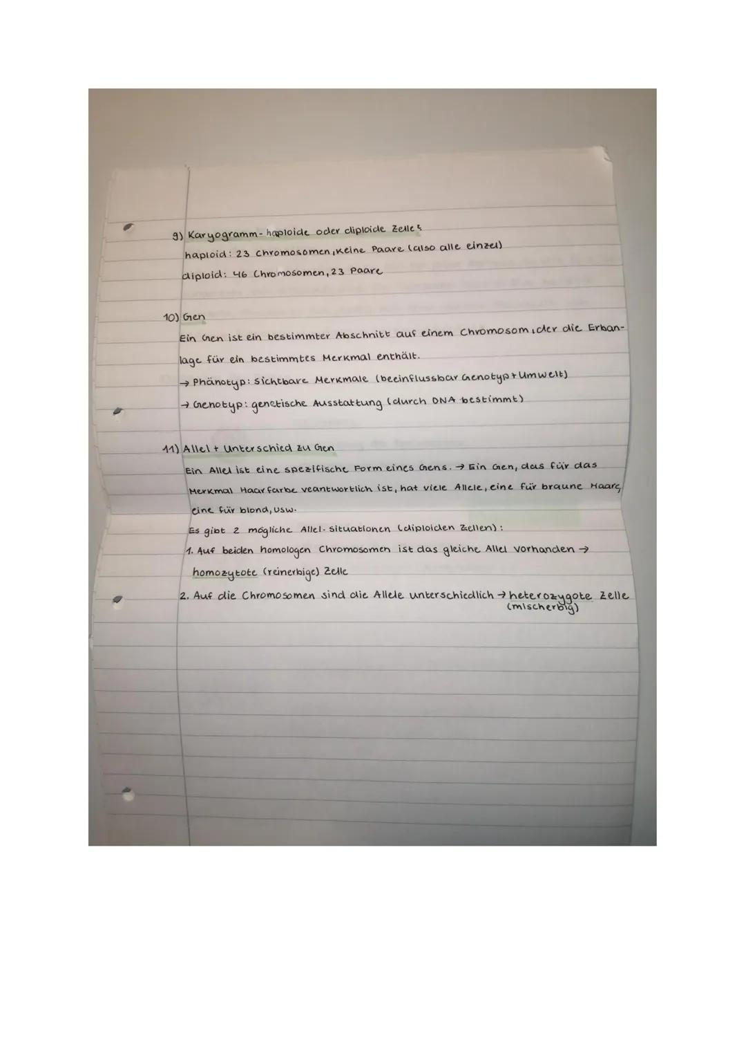 Prüfung Biologie: Klassische Genetik und Meiose
Klasse 2b, 6.11.20
14
Name.
Punkle:
Aufgabe 1 (2 Punkte)
Ein Gen auf dem Chromosom Nr. 9 ent