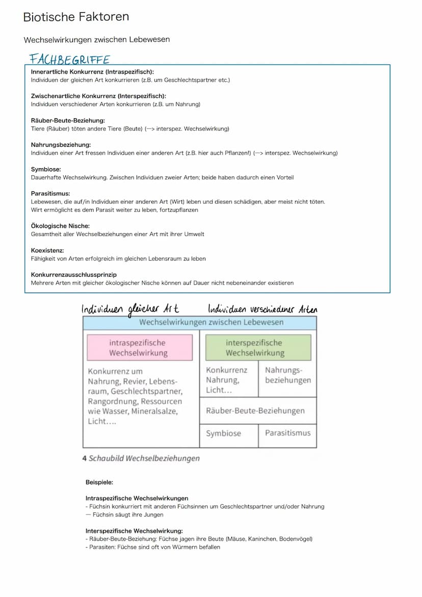 Grundlagen/Fachbegriffe
Ökosystem:
Einheit aus Biozönose und Biotop umfasst die Gesamtheit aller Wechselbeziehungen zwischen Lebensraum und 