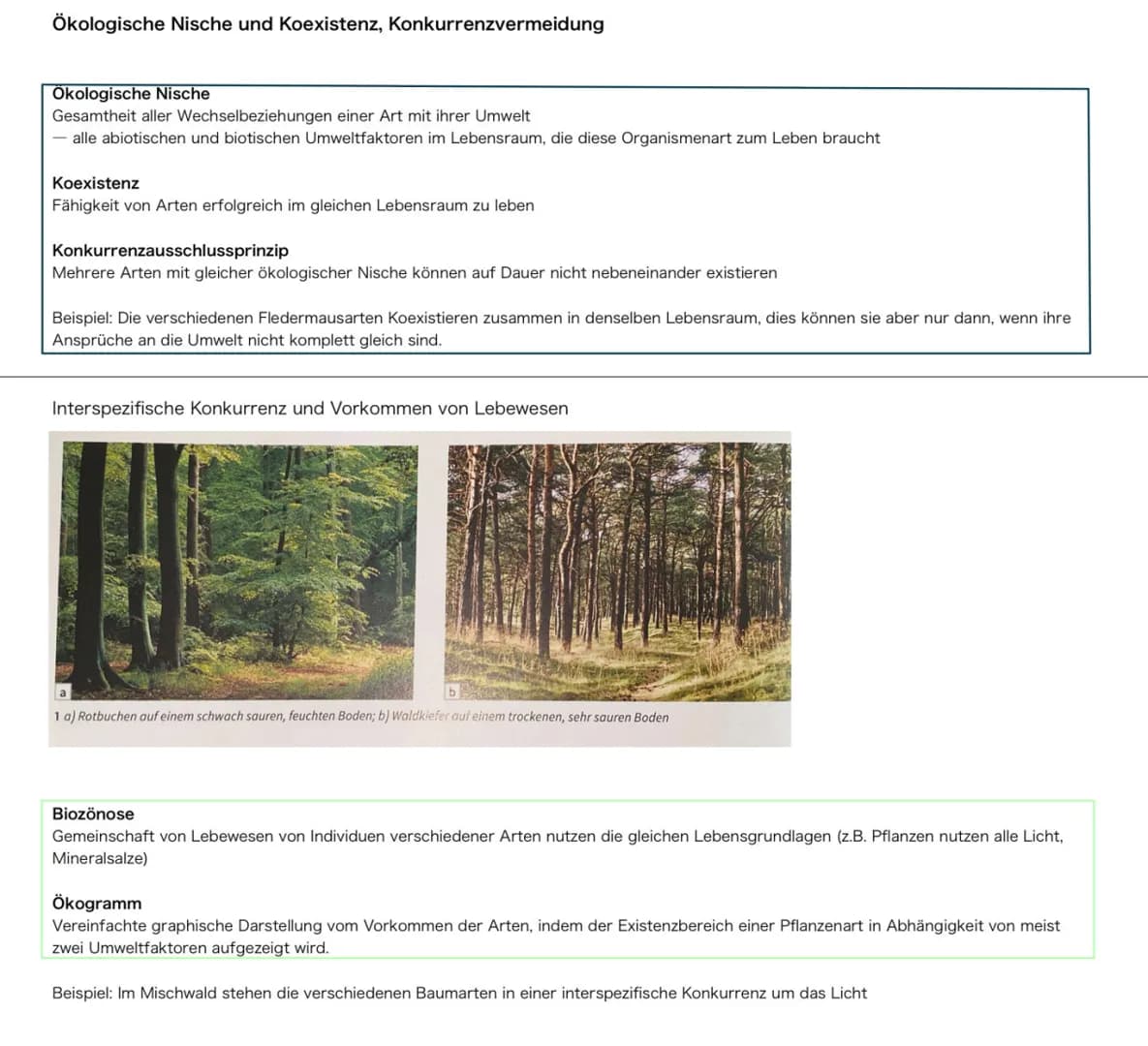 Grundlagen/Fachbegriffe
Ökosystem:
Einheit aus Biozönose und Biotop umfasst die Gesamtheit aller Wechselbeziehungen zwischen Lebensraum und 