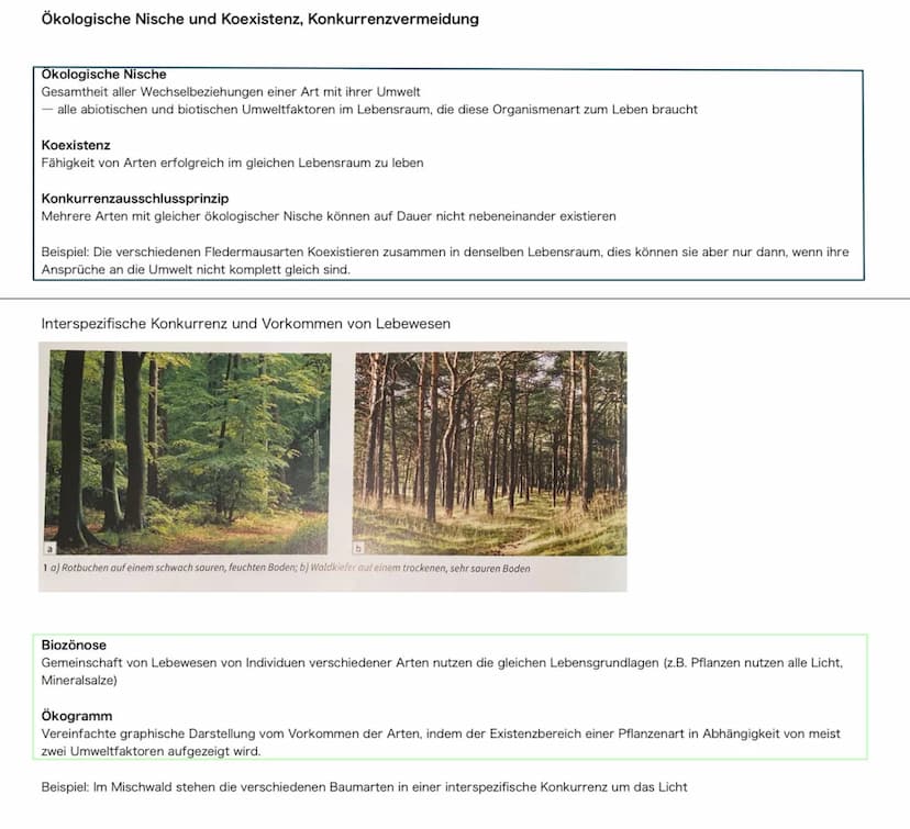Grundlagen/Fachbegriffe
Ökosystem:
Einheit aus Biozönose und Biotop umfasst die Gesamtheit aller Wechselbeziehungen zwischen Lebensraum und 