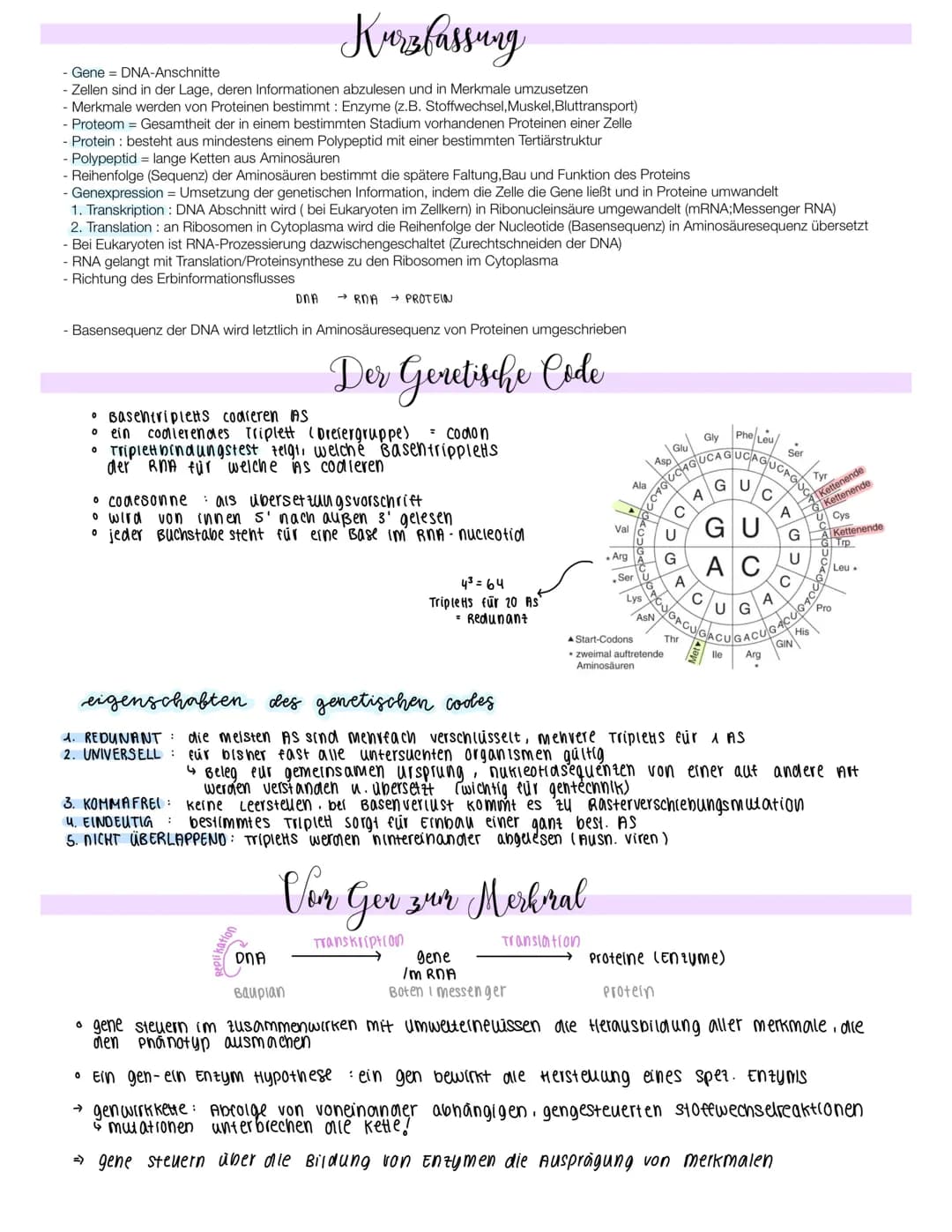 Eukaryoten
0
Prokaryoten
Exons und Introns
Im Zellkern
Ein Promotor für jedes Gen
Nur codogene Bereiche
Im Cytoplasma
Ein Promotor für mehre