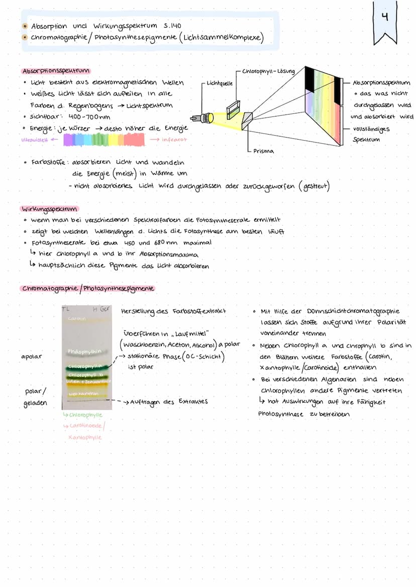 • Kreislauf von Kohlenstoff und sauerstoff S.136
• Netto gleichung der Photosynthese vs. BruHogleichung der PS
Kreislauf von Kohlenstoff und