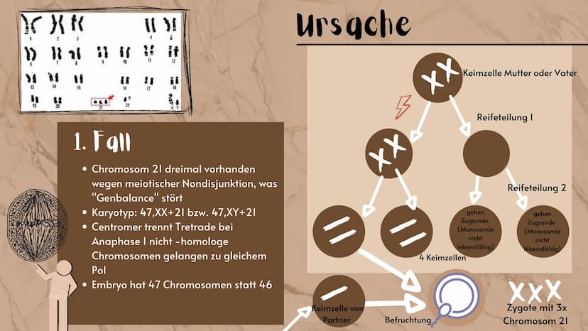 O
Down-Syndrom
eine Erbkrankheit?
Präsentation
Sarah Keller
13.01.2021
BIO LK
HB Gliederung E
Was ist ein Syndrom?
Down-Syndrom-Ein Syndrom?