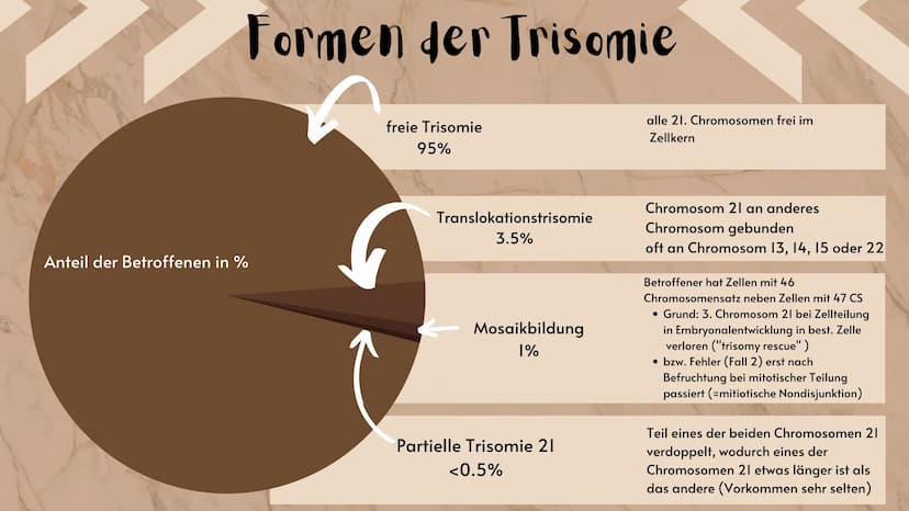 O
Down-Syndrom
eine Erbkrankheit?
Präsentation
Sarah Keller
13.01.2021
BIO LK
HB Gliederung E
Was ist ein Syndrom?
Down-Syndrom-Ein Syndrom?
