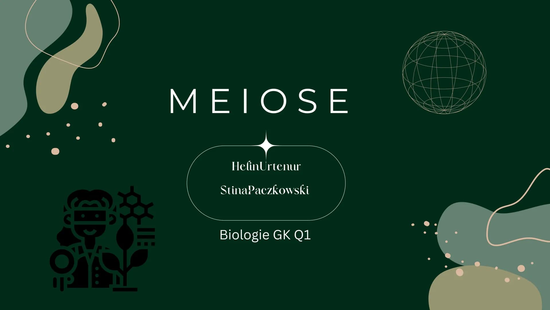 OP
MEIOSE
HelinUrtenur
StinaPaczkowski
Biologie GK Q1 Gliederung:
000
1.
2.
3.
A.
Ham
Basiswissen
Was ist ,,Meiose“ ?
Phasen der Meiose
Bede