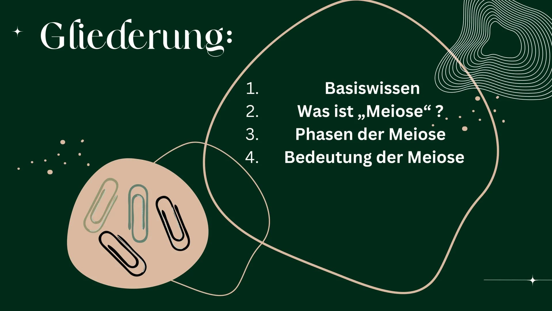 OP
MEIOSE
HelinUrtenur
StinaPaczkowski
Biologie GK Q1 Gliederung:
000
1.
2.
3.
A.
Ham
Basiswissen
Was ist ,,Meiose“ ?
Phasen der Meiose
Bede