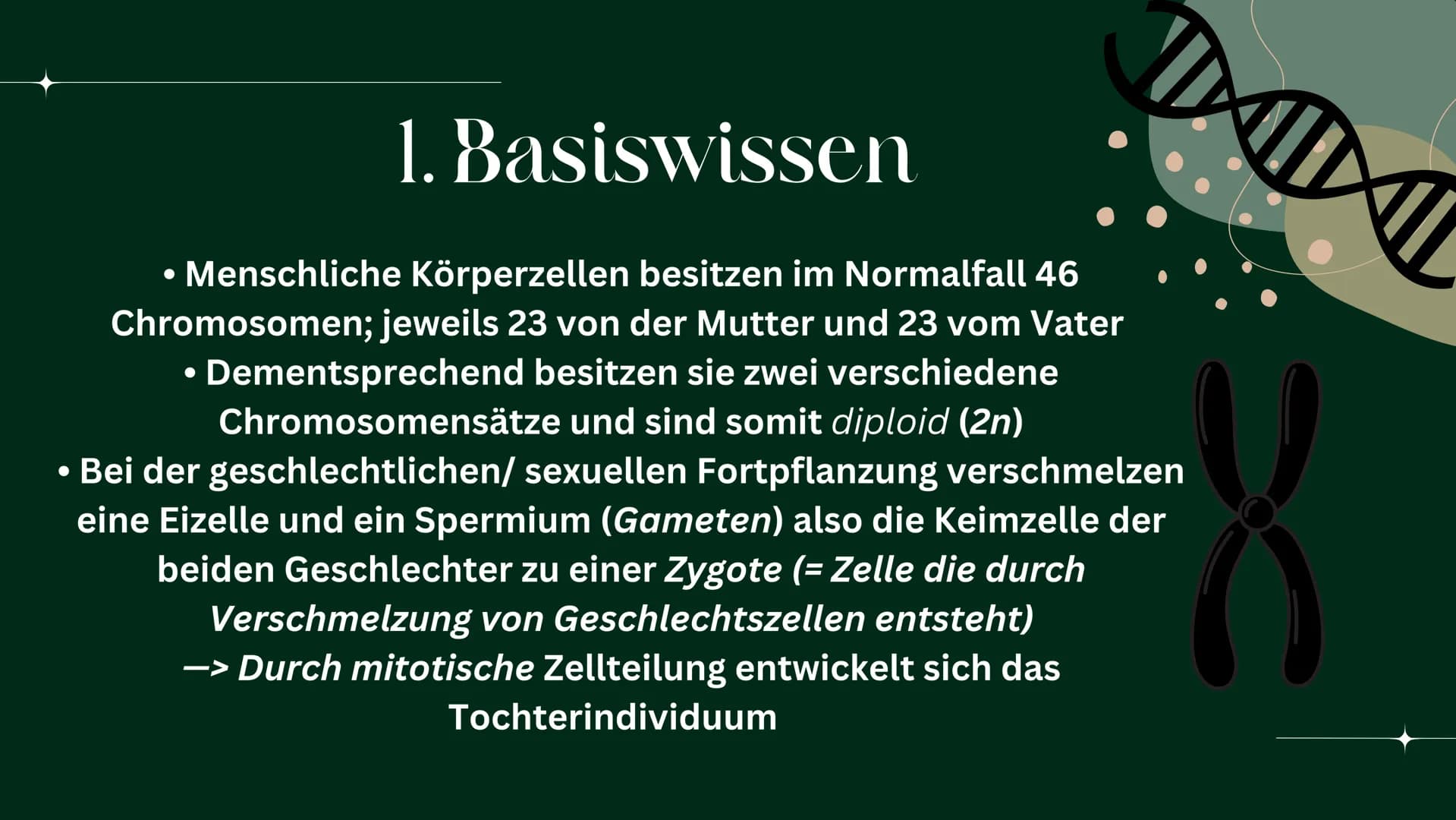 OP
MEIOSE
HelinUrtenur
StinaPaczkowski
Biologie GK Q1 Gliederung:
000
1.
2.
3.
A.
Ham
Basiswissen
Was ist ,,Meiose“ ?
Phasen der Meiose
Bede