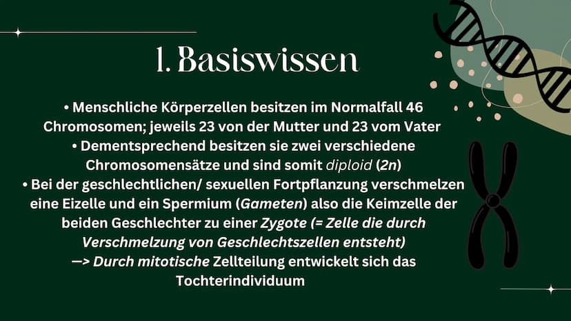 OP
MEIOSE
HelinUrtenur
StinaPaczkowski
Biologie GK Q1 Gliederung:
000
1.
2.
3.
A.
Ham
Basiswissen
Was ist ,,Meiose“ ?
Phasen der Meiose
Bede
