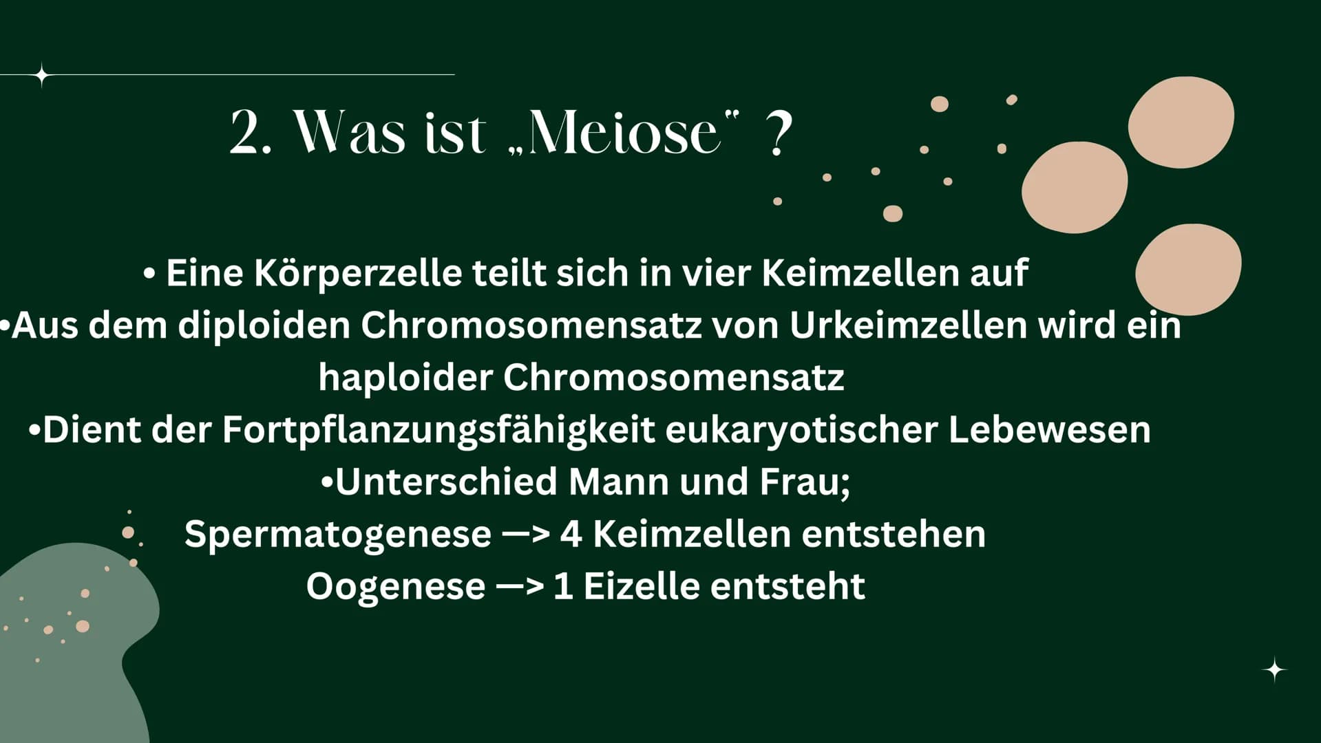 OP
MEIOSE
HelinUrtenur
StinaPaczkowski
Biologie GK Q1 Gliederung:
000
1.
2.
3.
A.
Ham
Basiswissen
Was ist ,,Meiose“ ?
Phasen der Meiose
Bede