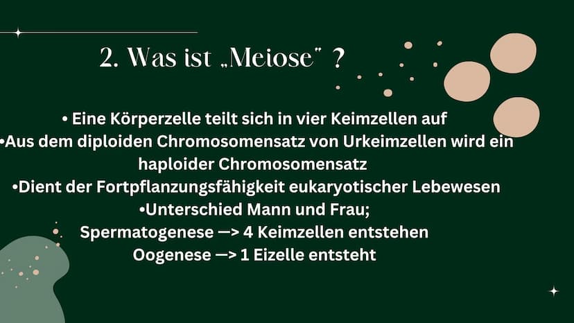 OP
MEIOSE
HelinUrtenur
StinaPaczkowski
Biologie GK Q1 Gliederung:
000
1.
2.
3.
A.
Ham
Basiswissen
Was ist ,,Meiose“ ?
Phasen der Meiose
Bede