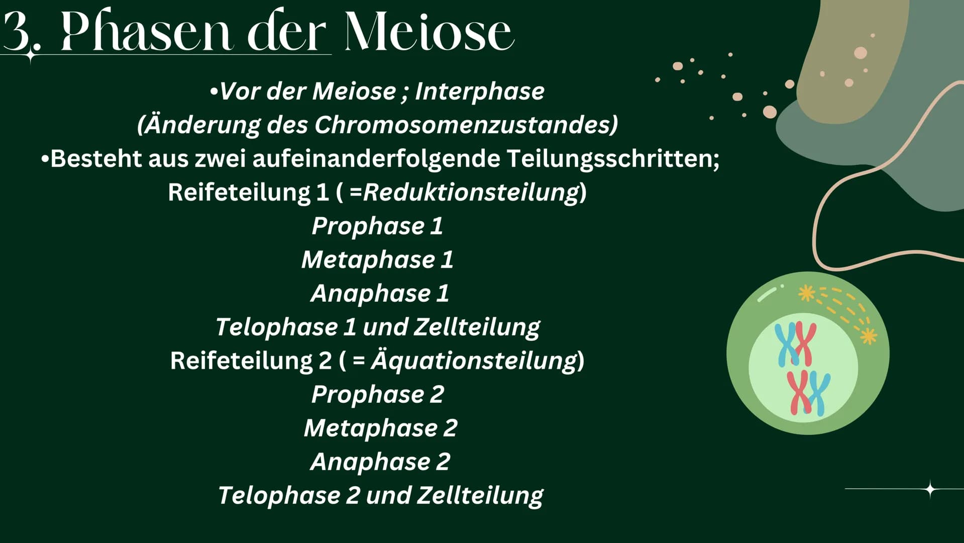 OP
MEIOSE
HelinUrtenur
StinaPaczkowski
Biologie GK Q1 Gliederung:
000
1.
2.
3.
A.
Ham
Basiswissen
Was ist ,,Meiose“ ?
Phasen der Meiose
Bede