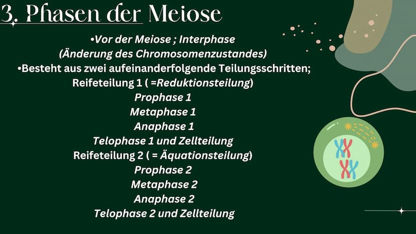 OP
MEIOSE
HelinUrtenur
StinaPaczkowski
Biologie GK Q1 Gliederung:
000
1.
2.
3.
A.
Ham
Basiswissen
Was ist ,,Meiose“ ?
Phasen der Meiose
Bede