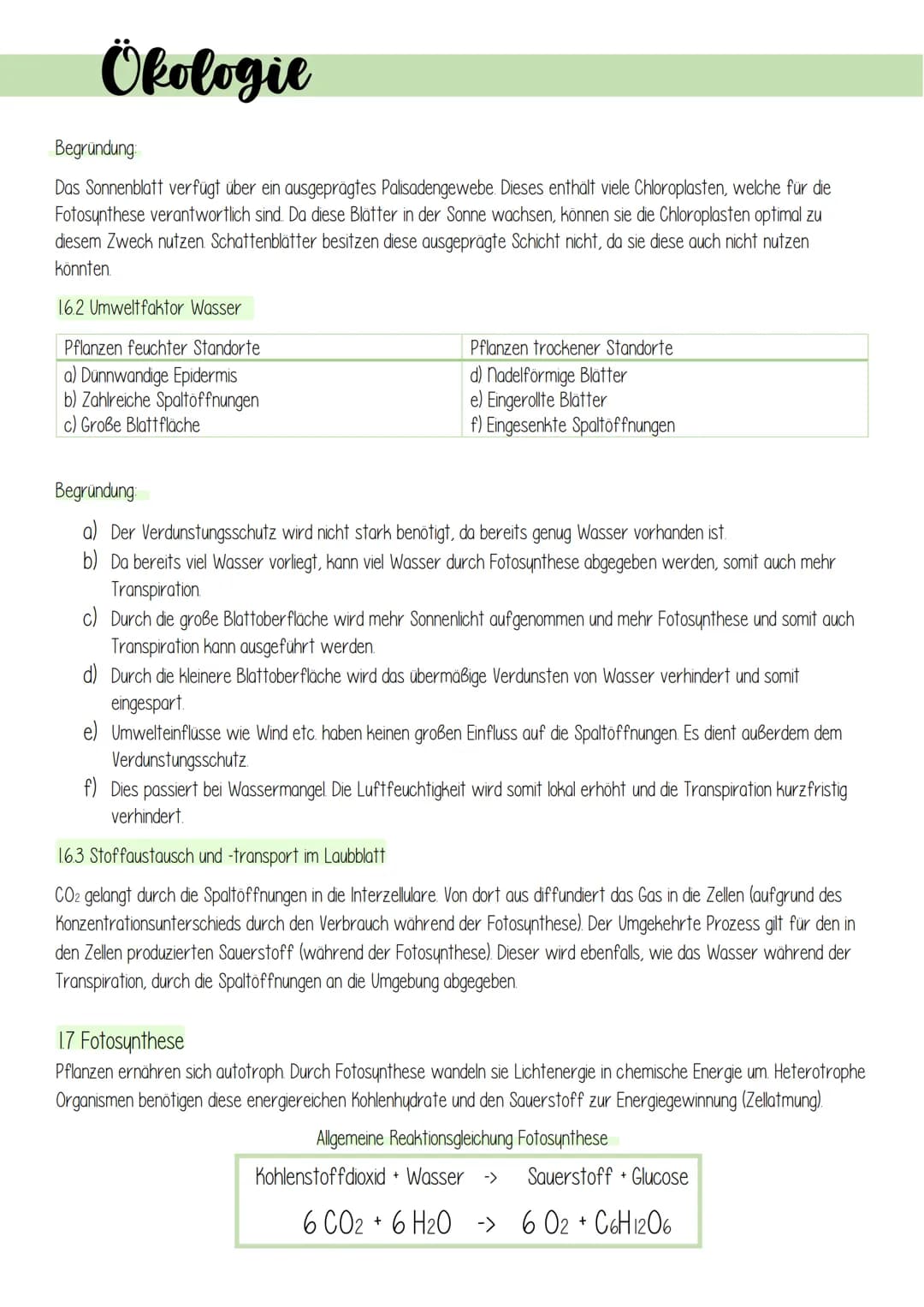 Ökologie
1. Lebensprozesse grüner Pflanzen
Es gibt schätzungsweise 250 000 verschiedene Arten von Pflanzen, welche in folgendes Schema einzu