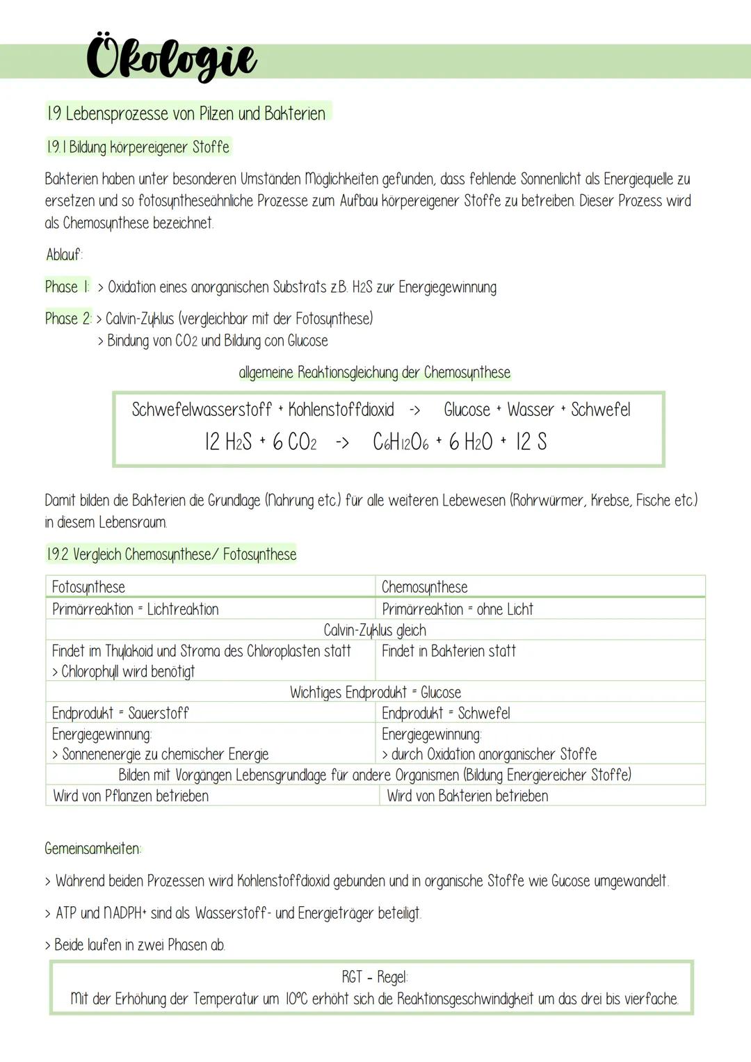 Ökologie
1. Lebensprozesse grüner Pflanzen
Es gibt schätzungsweise 250 000 verschiedene Arten von Pflanzen, welche in folgendes Schema einzu