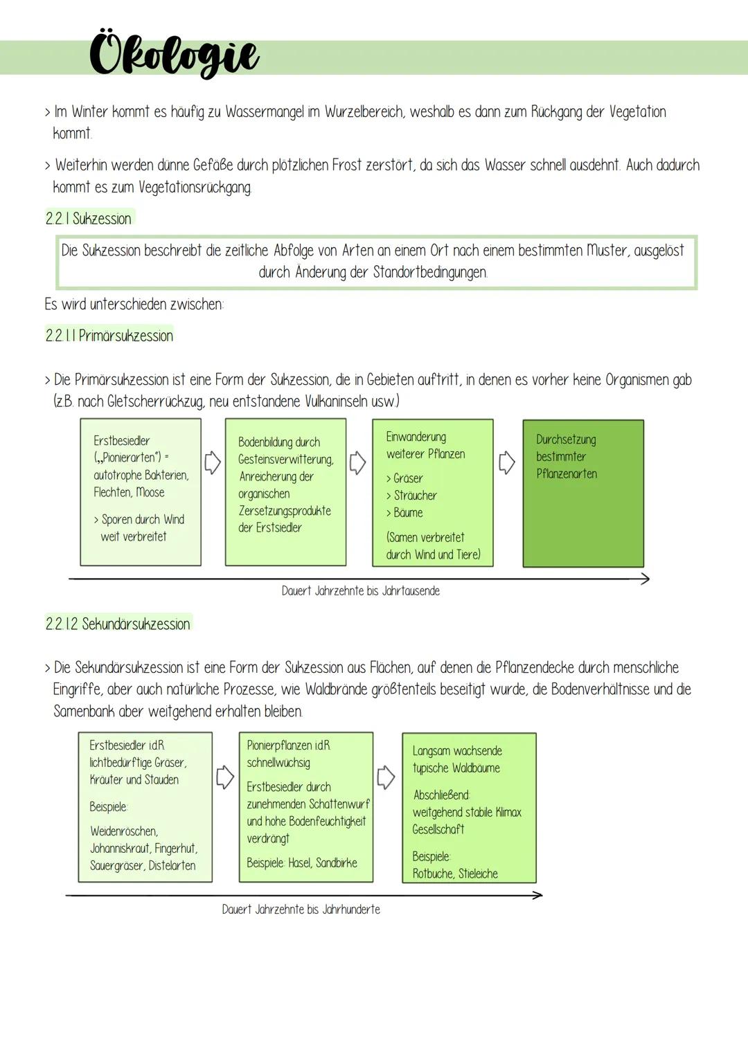 Ökologie
1. Lebensprozesse grüner Pflanzen
Es gibt schätzungsweise 250 000 verschiedene Arten von Pflanzen, welche in folgendes Schema einzu