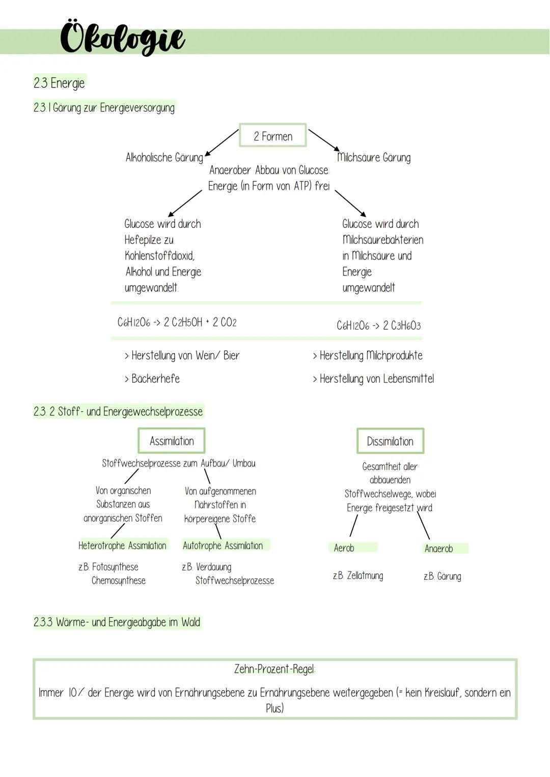 Ökologie
1. Lebensprozesse grüner Pflanzen
Es gibt schätzungsweise 250 000 verschiedene Arten von Pflanzen, welche in folgendes Schema einzu