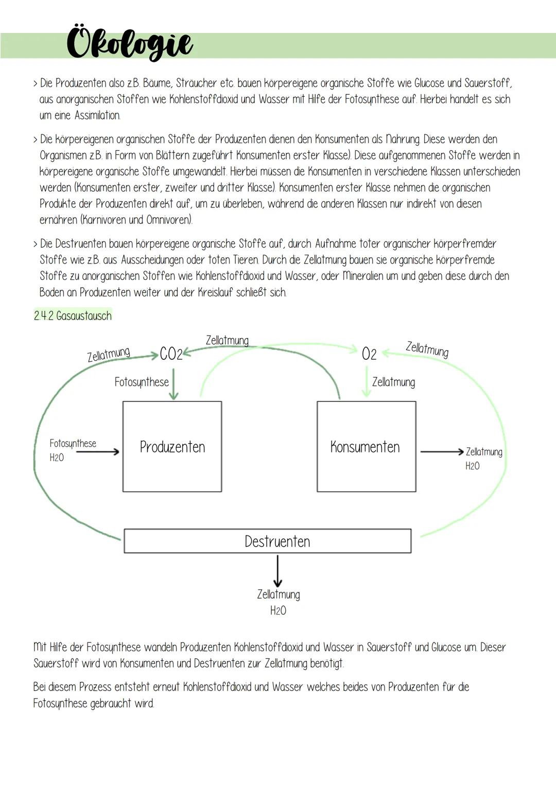 Ökologie
1. Lebensprozesse grüner Pflanzen
Es gibt schätzungsweise 250 000 verschiedene Arten von Pflanzen, welche in folgendes Schema einzu