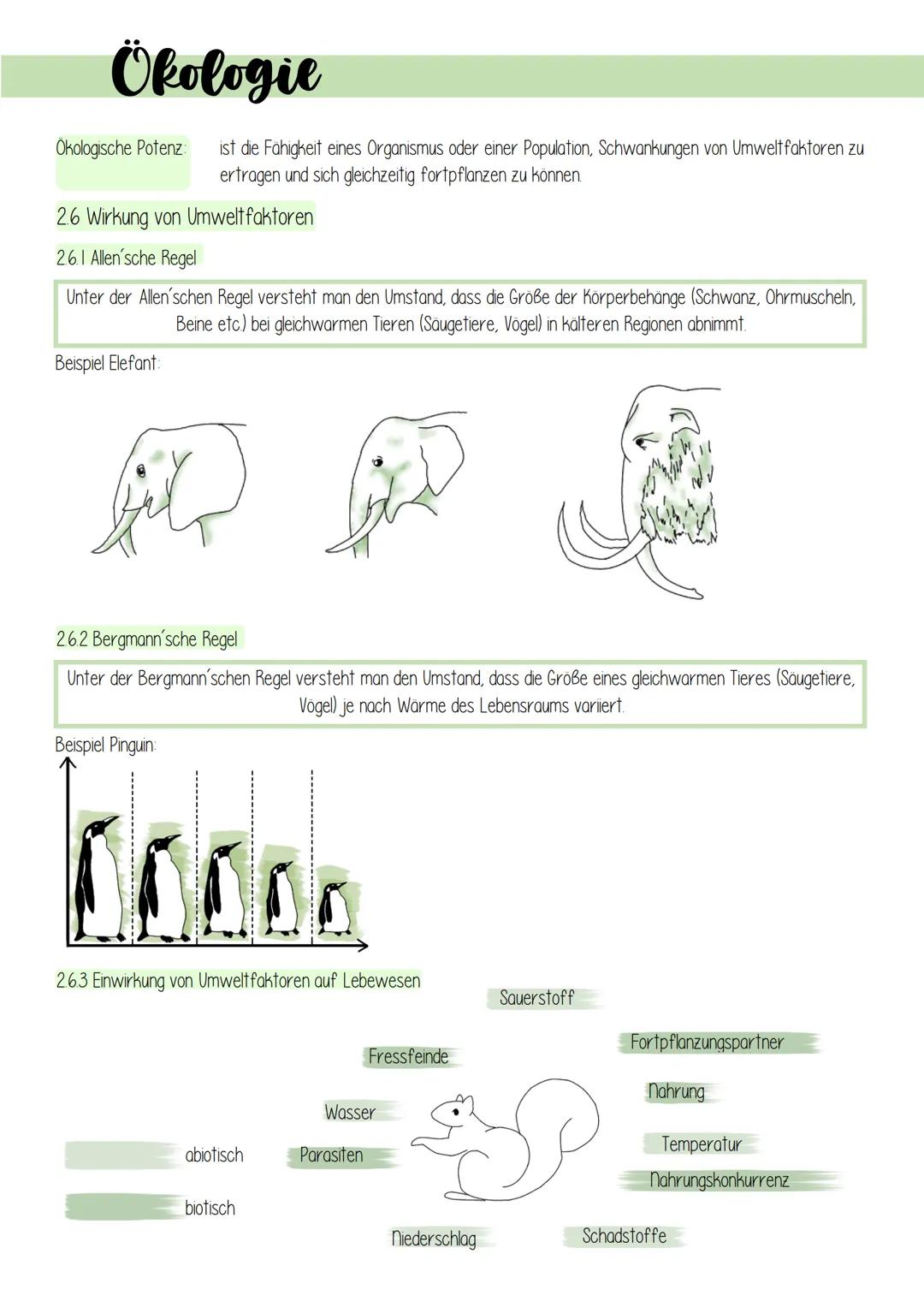 Ökologie
1. Lebensprozesse grüner Pflanzen
Es gibt schätzungsweise 250 000 verschiedene Arten von Pflanzen, welche in folgendes Schema einzu