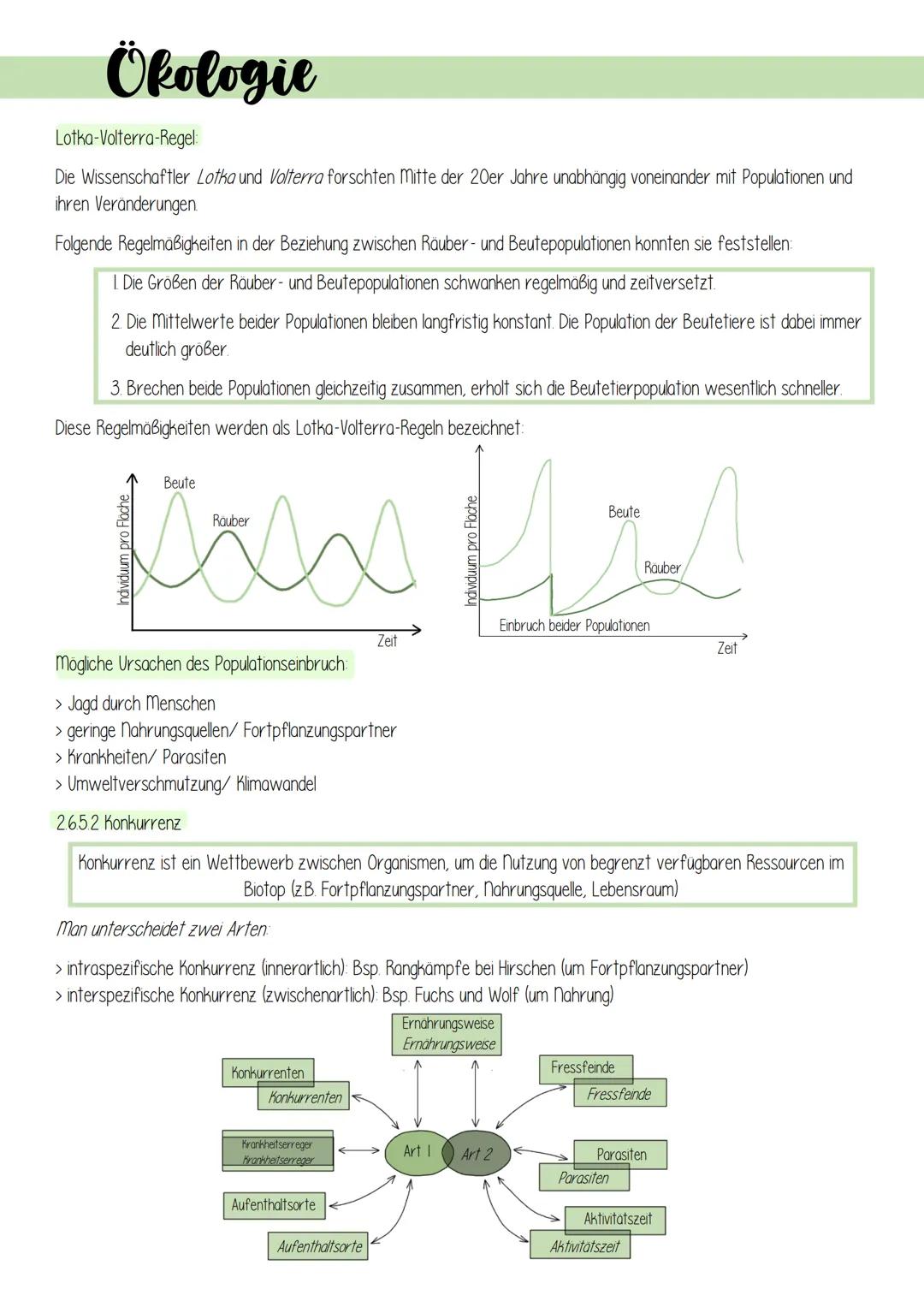 Ökologie
1. Lebensprozesse grüner Pflanzen
Es gibt schätzungsweise 250 000 verschiedene Arten von Pflanzen, welche in folgendes Schema einzu