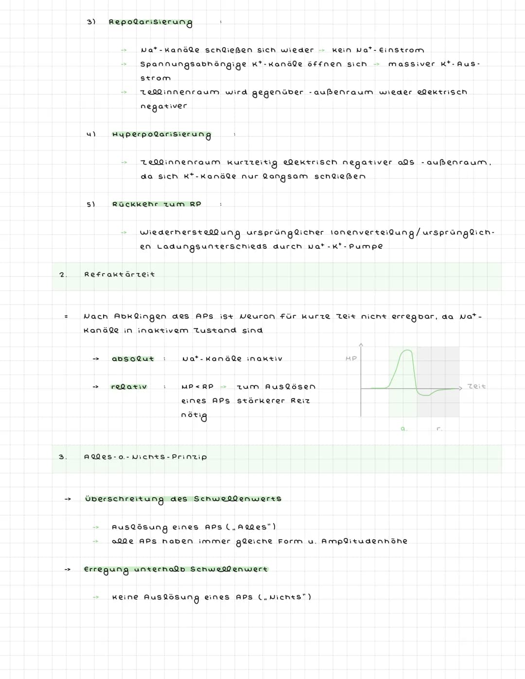 ^) Nervenzellen
^.
2.
Sinneszellen wandeln Reize in elektr. Erregung (signale) um
Nervenzellen (Neuronen) zum ZNS weitergeleitet : dort verr
