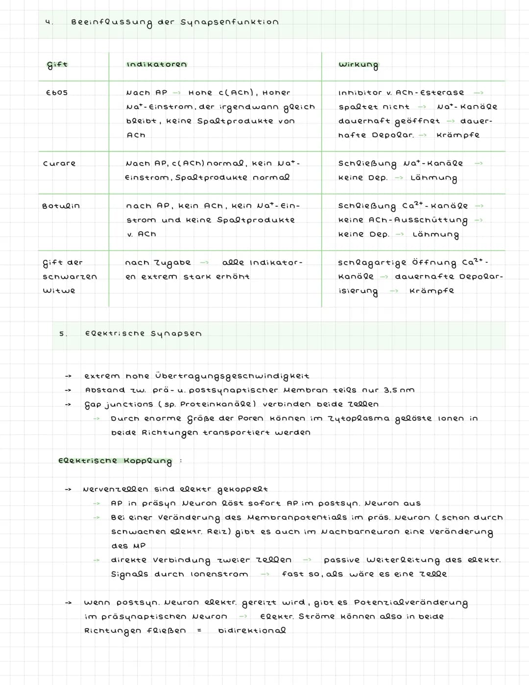 ^) Nervenzellen
^.
2.
Sinneszellen wandeln Reize in elektr. Erregung (signale) um
Nervenzellen (Neuronen) zum ZNS weitergeleitet : dort verr