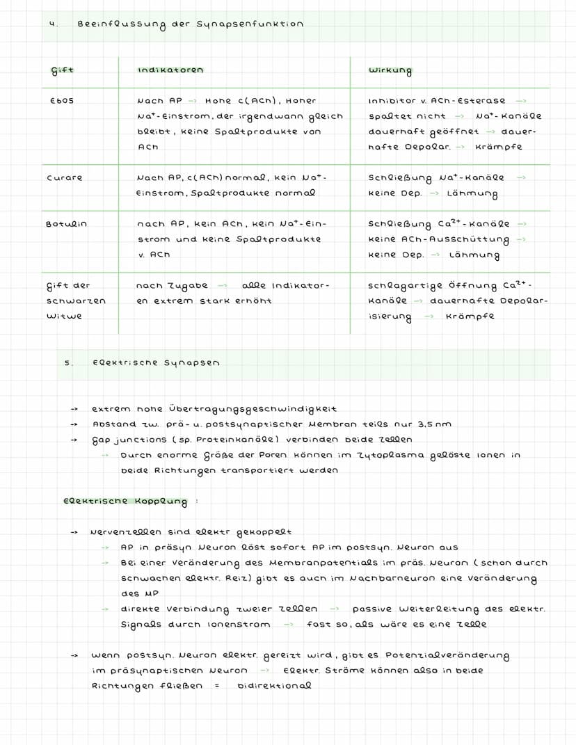 ^) Nervenzellen
^.
2.
Sinneszellen wandeln Reize in elektr. Erregung (signale) um
Nervenzellen (Neuronen) zum ZNS weitergeleitet : dort verr