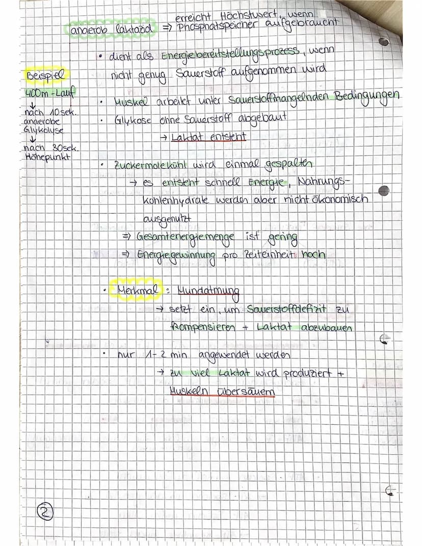 Beispiel
Kurzsprint
SPORT LK
Ausdauer ist die Ermüdungswiderstands-
fähigkeit bei lang andauernden Belastungen,
sowie die Fähigkeit zur Erho