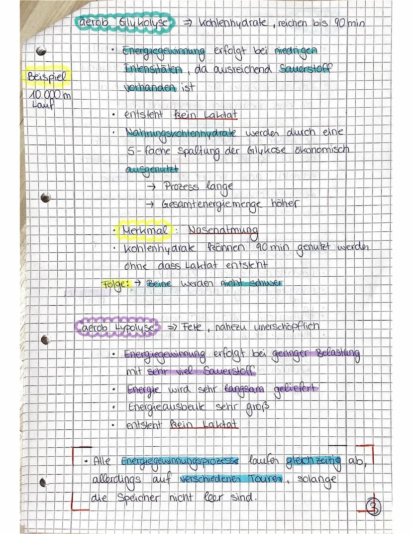 Beispiel
Kurzsprint
SPORT LK
Ausdauer ist die Ermüdungswiderstands-
fähigkeit bei lang andauernden Belastungen,
sowie die Fähigkeit zur Erho