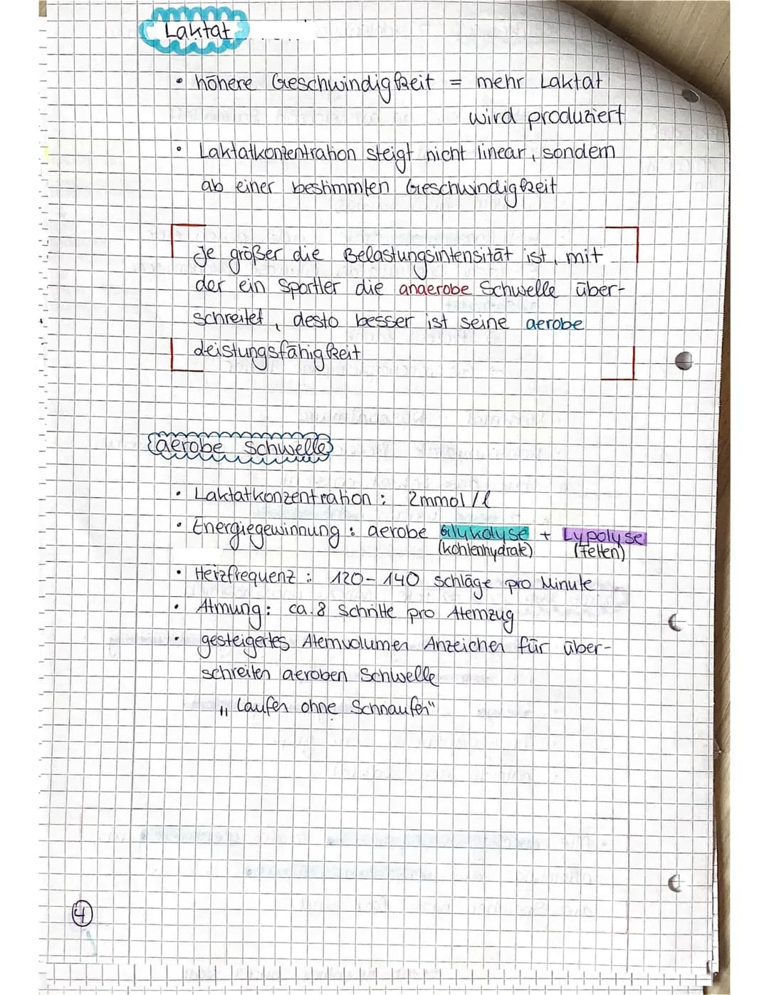 Beispiel
Kurzsprint
SPORT LK
Ausdauer ist die Ermüdungswiderstands-
fähigkeit bei lang andauernden Belastungen,
sowie die Fähigkeit zur Erho