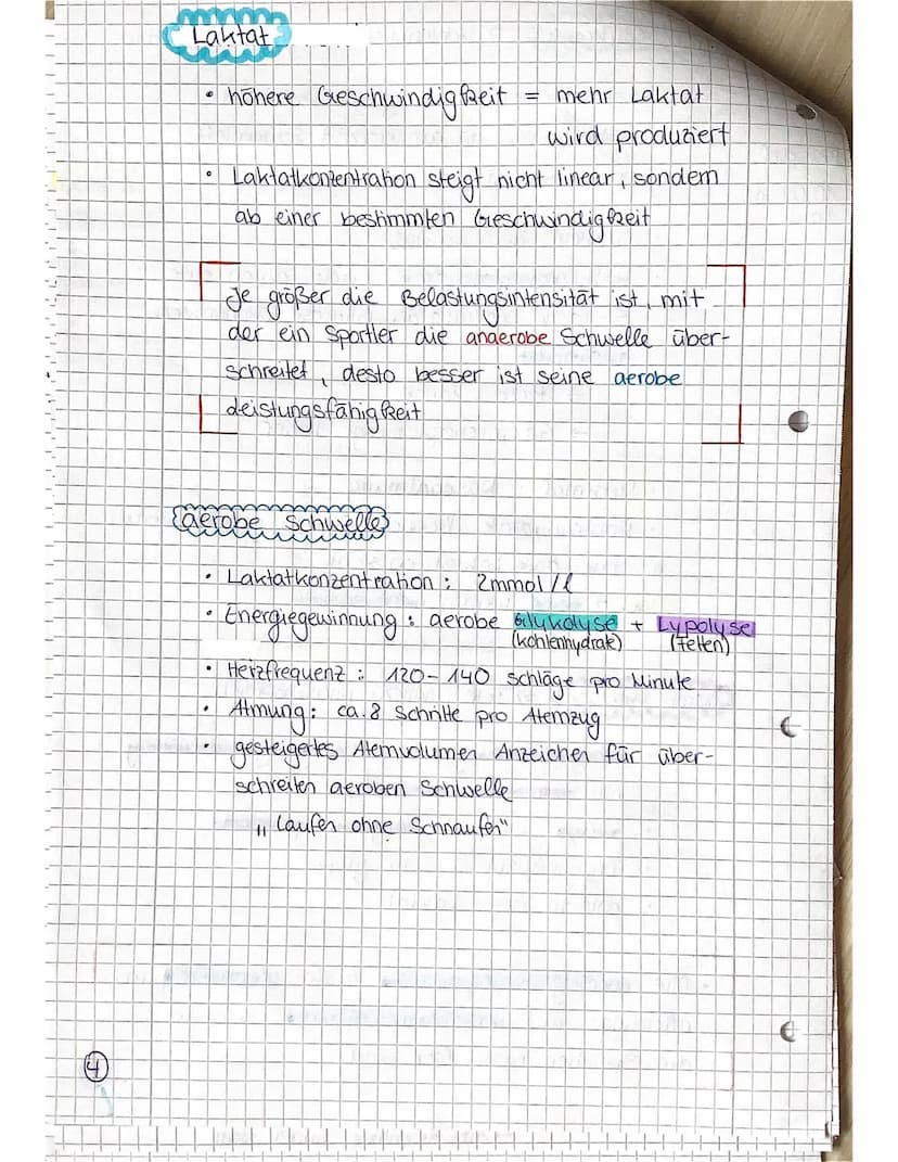 Beispiel
Kurzsprint
SPORT LK
Ausdauer ist die Ermüdungswiderstands-
fähigkeit bei lang andauernden Belastungen,
sowie die Fähigkeit zur Erho