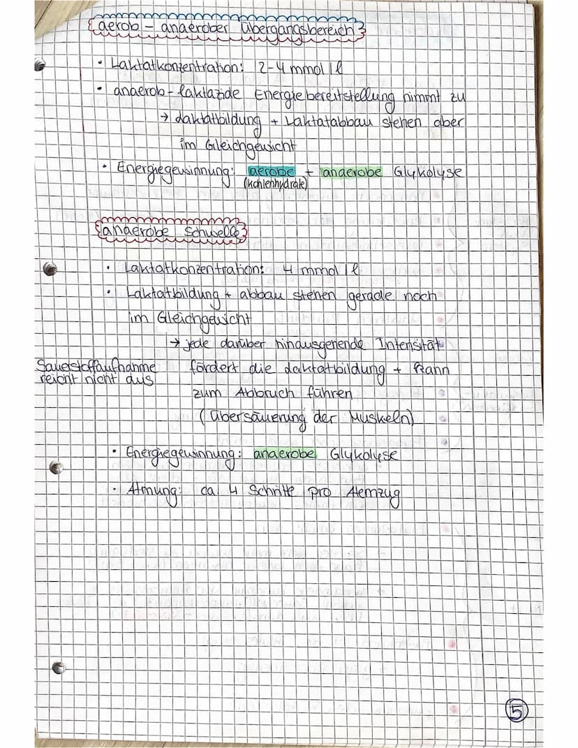Beispiel
Kurzsprint
SPORT LK
Ausdauer ist die Ermüdungswiderstands-
fähigkeit bei lang andauernden Belastungen,
sowie die Fähigkeit zur Erho