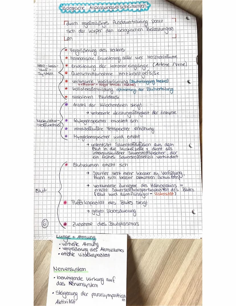 Beispiel
Kurzsprint
SPORT LK
Ausdauer ist die Ermüdungswiderstands-
fähigkeit bei lang andauernden Belastungen,
sowie die Fähigkeit zur Erho