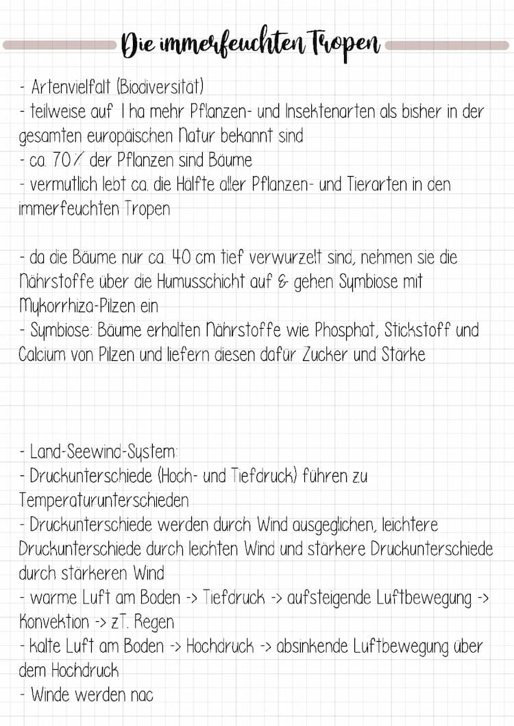 Know Immerfeuchte Tropen - PowerPoint - Präsentation  thumbnail