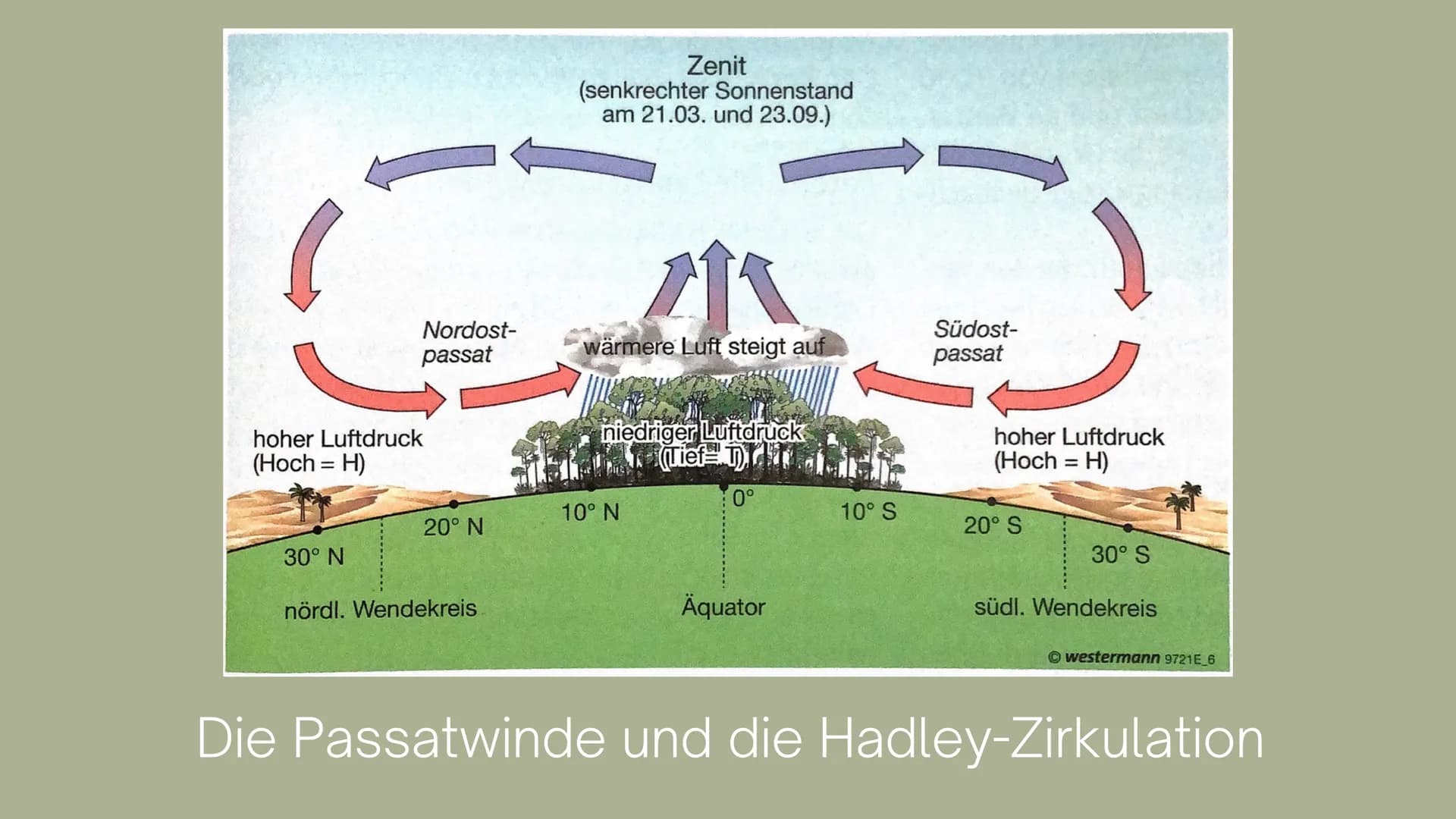 Die immerfeuchten Tropen
- Artenvielfalt (Biodiversität)
- teilweise auf I ha mehr Pflanzen- und Insektenarten als bisher in der
gesamten eu