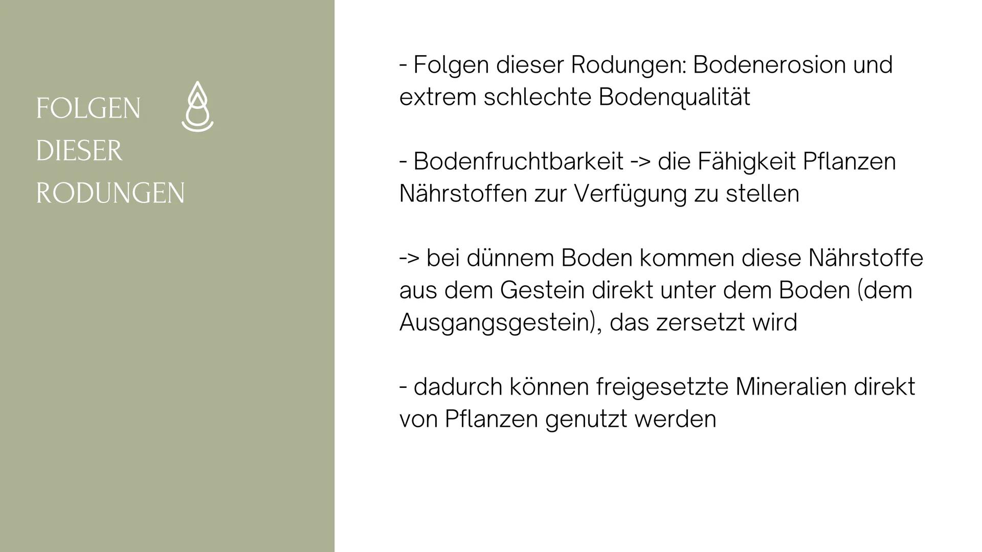 Die immerfeuchten Tropen
- Artenvielfalt (Biodiversität)
- teilweise auf I ha mehr Pflanzen- und Insektenarten als bisher in der
gesamten eu