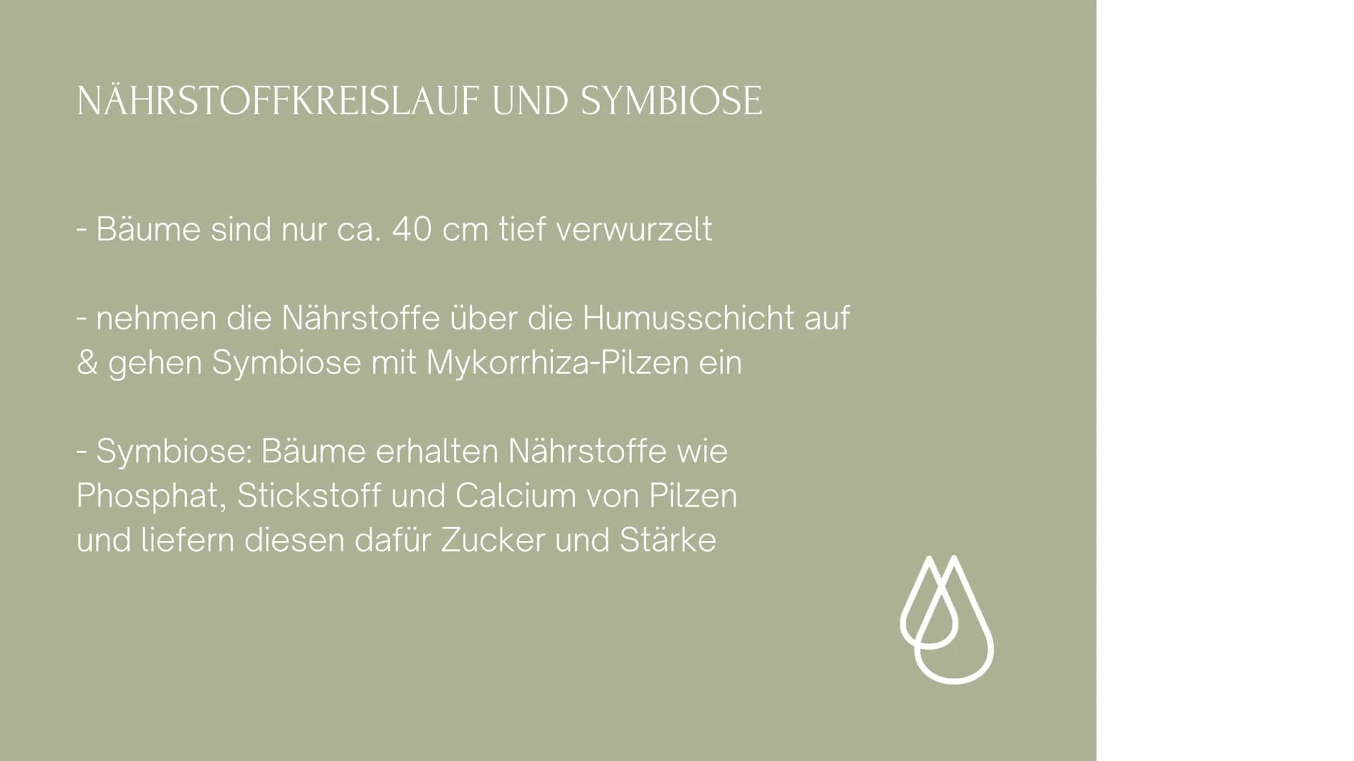 Die immerfeuchten Tropen
- Artenvielfalt (Biodiversität)
- teilweise auf I ha mehr Pflanzen- und Insektenarten als bisher in der
gesamten eu