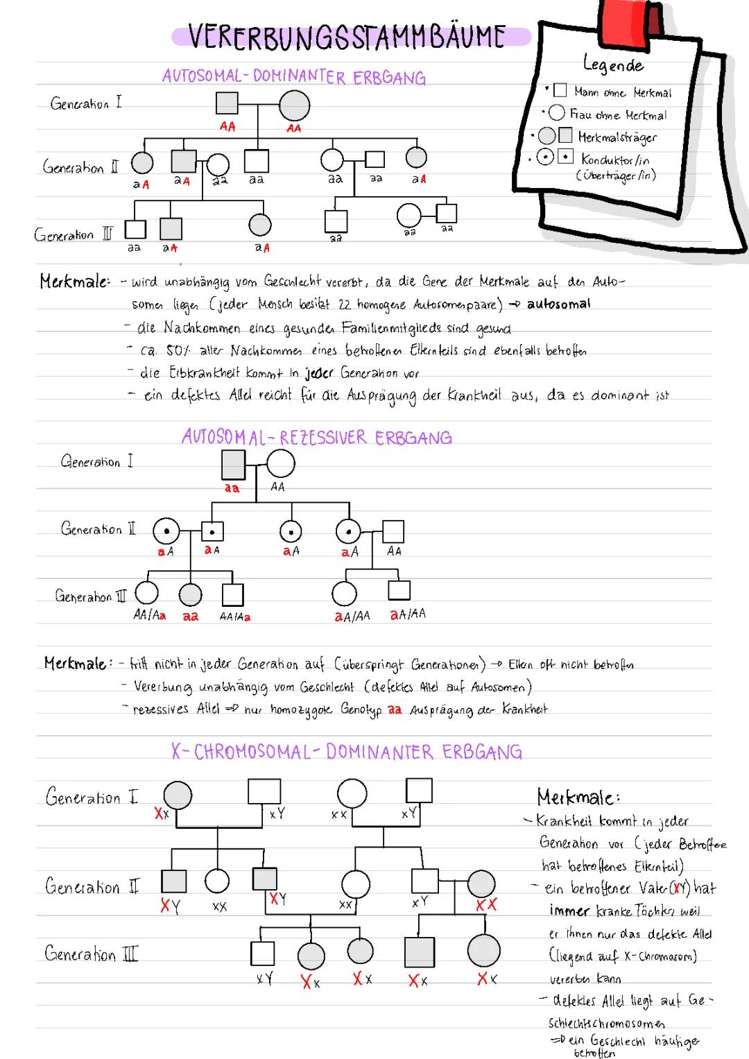 Vererbungsstammbäume und ihre Merkmale