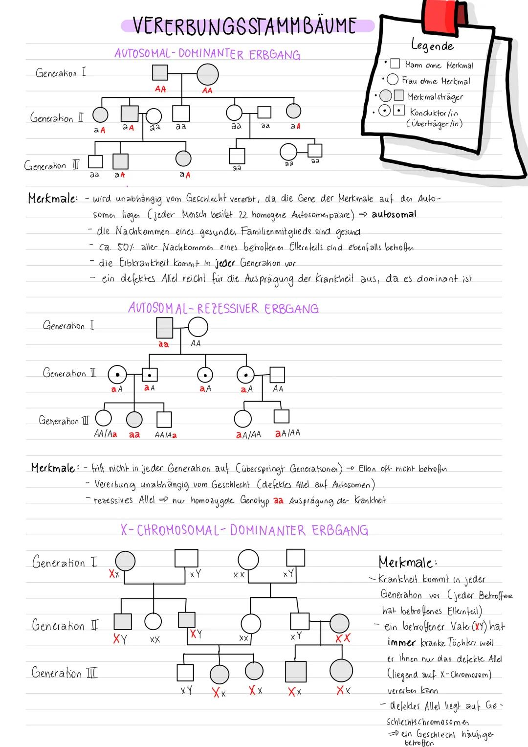 Generation I
Generation II
Generation
Merkmale:
Generahon
Generation I
56
aa
2 A
Generation I
OOO
Generation
AUTOSOMAL-DOMINANTER ERBGANG
Ge